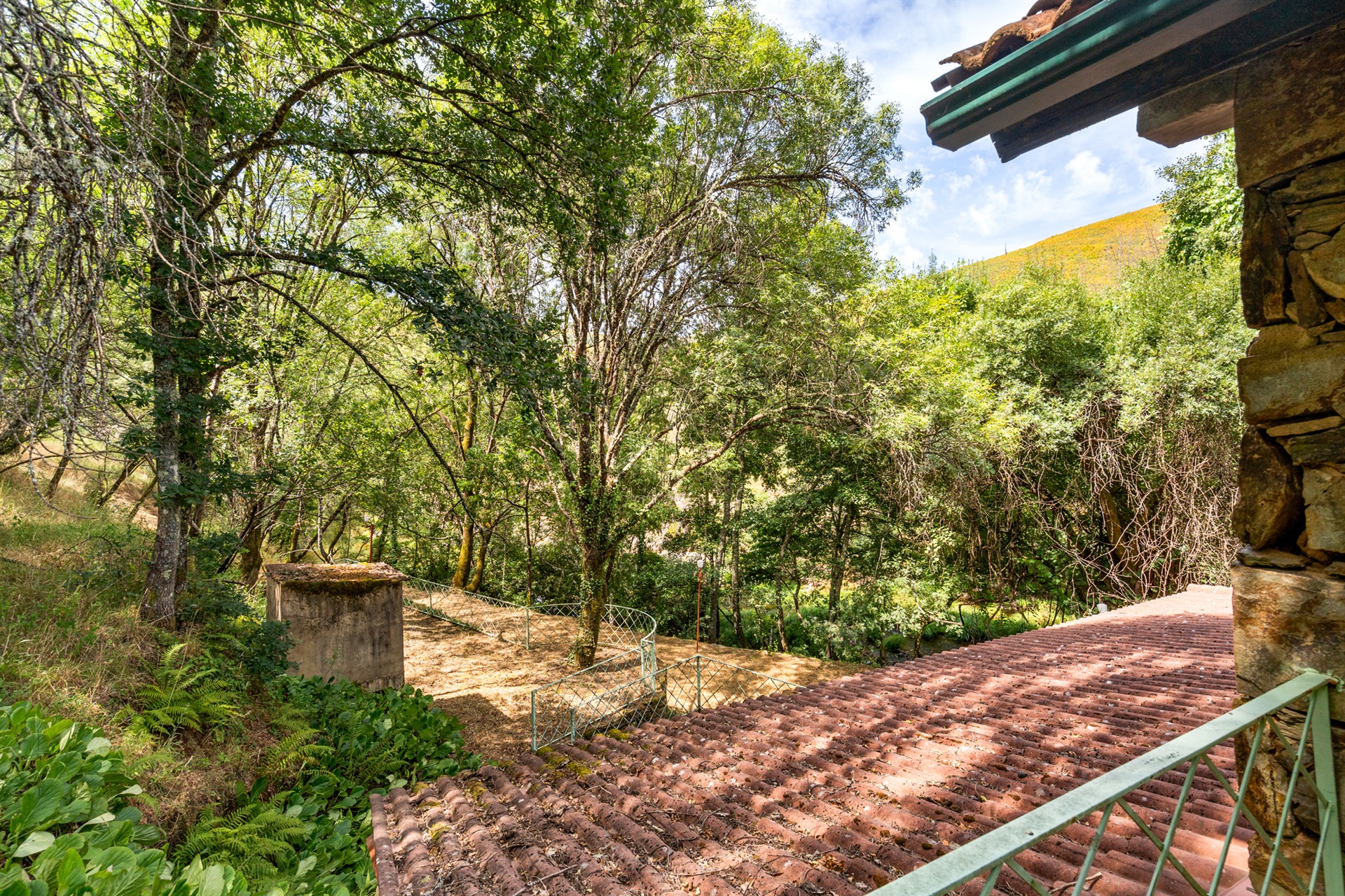  Farm, 5 bedrooms, for Sale - 物件實景