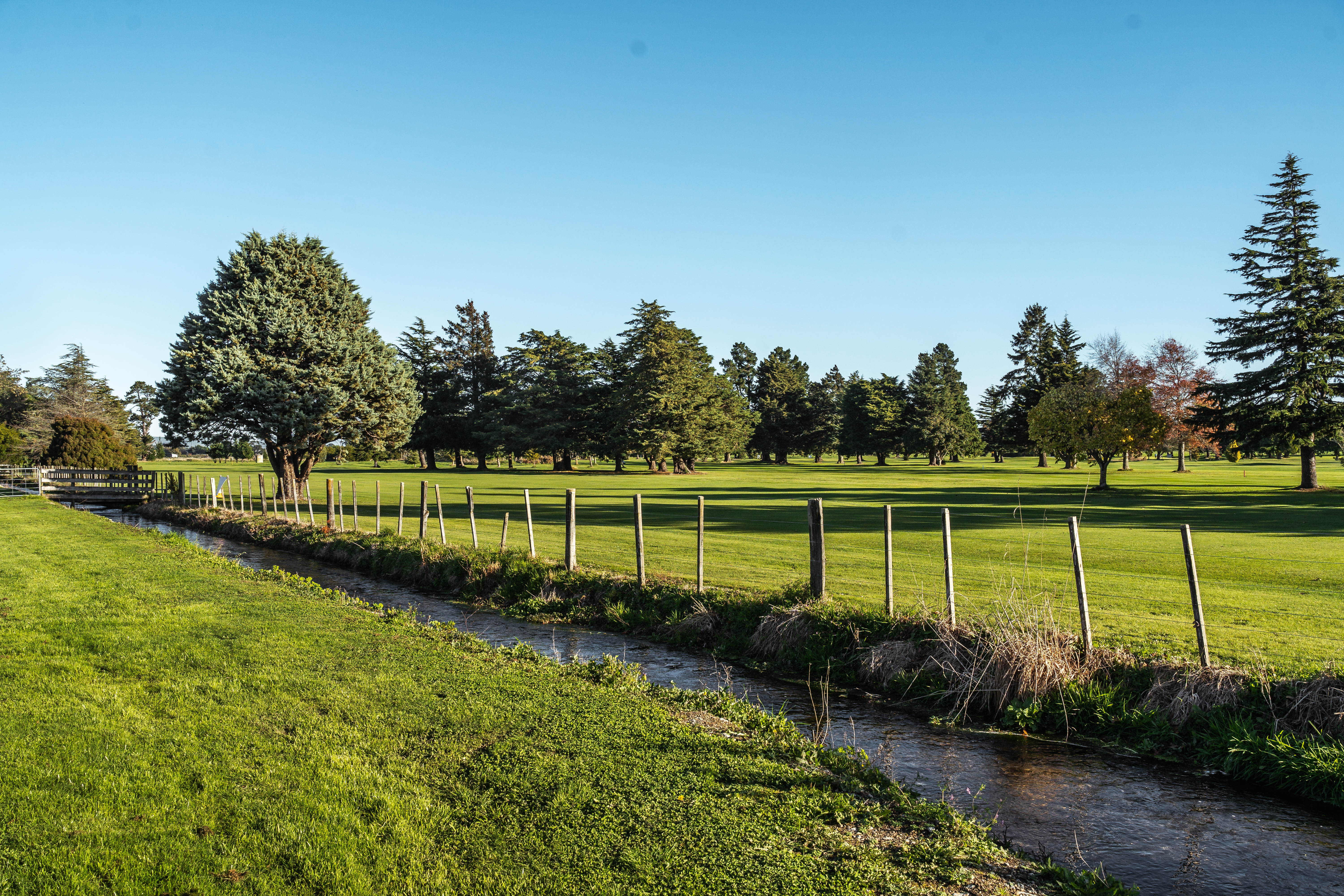  Unparalleled Lifestyle Living - 物件實景