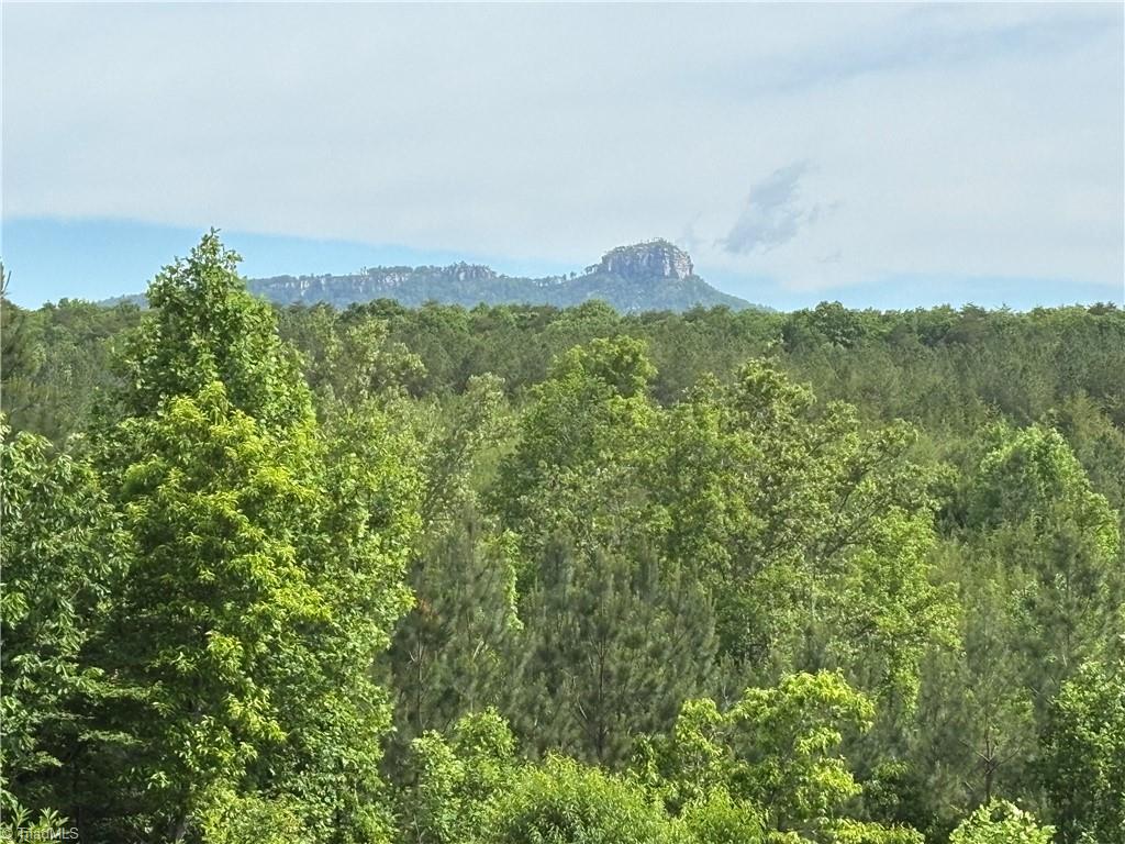 Pinnacle, North Carolina, 27043, United States, ,Land,For Sale,1829534