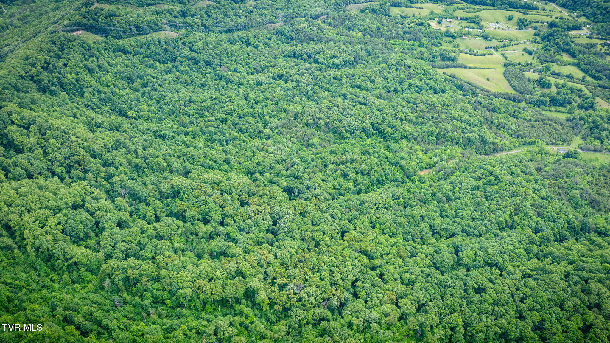 Kingsport, Tennessee, 37660, United States, 1 Bedroom Bedrooms, ,1 BathroomBathrooms,Residential,For Sale,1973991