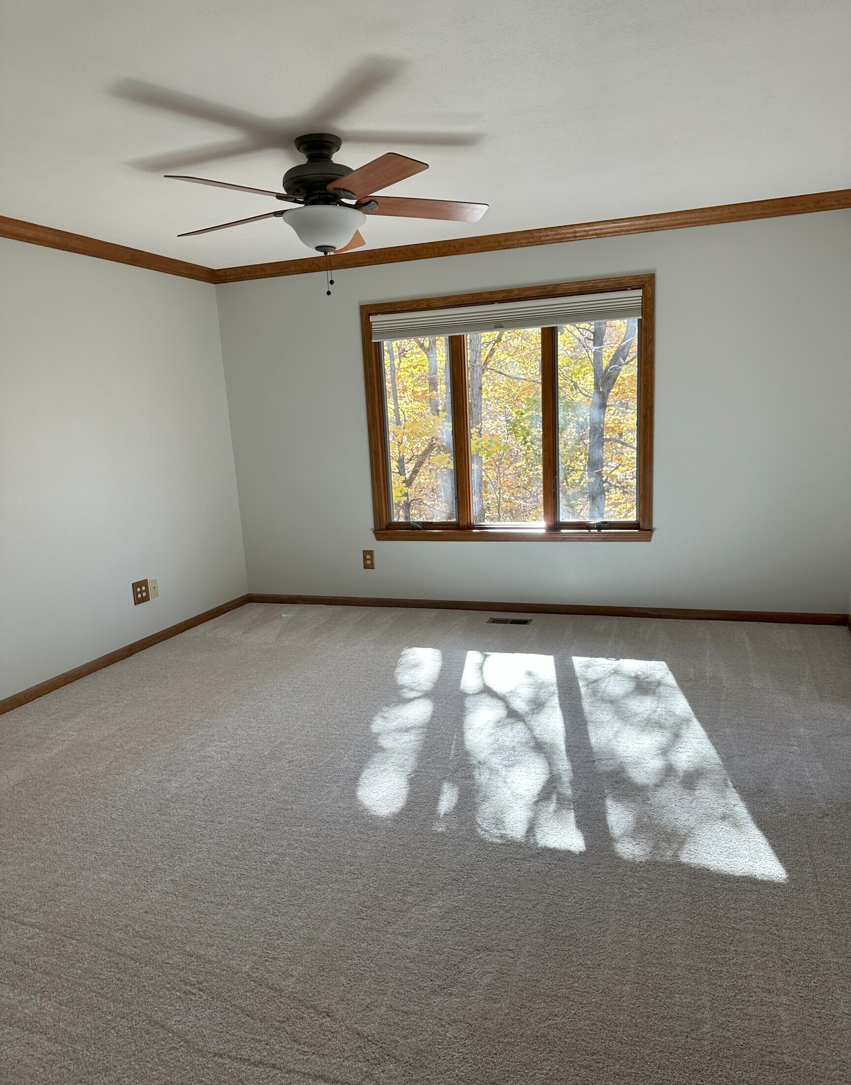 Fishers, Indiana, 46038, United States, 6 Bedrooms Bedrooms, ,4 BathroomsBathrooms,Residential,For Sale,1987782