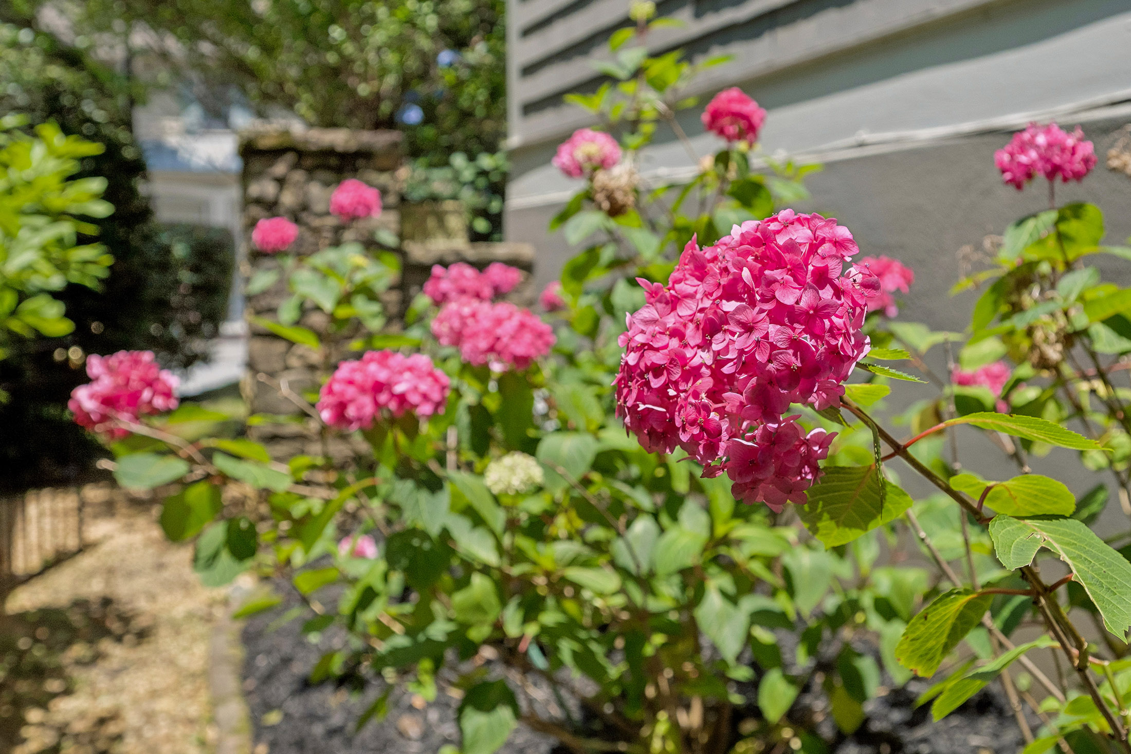  Stunning Cape Cod Residence in Sought-After Edmund Park - 物件實景