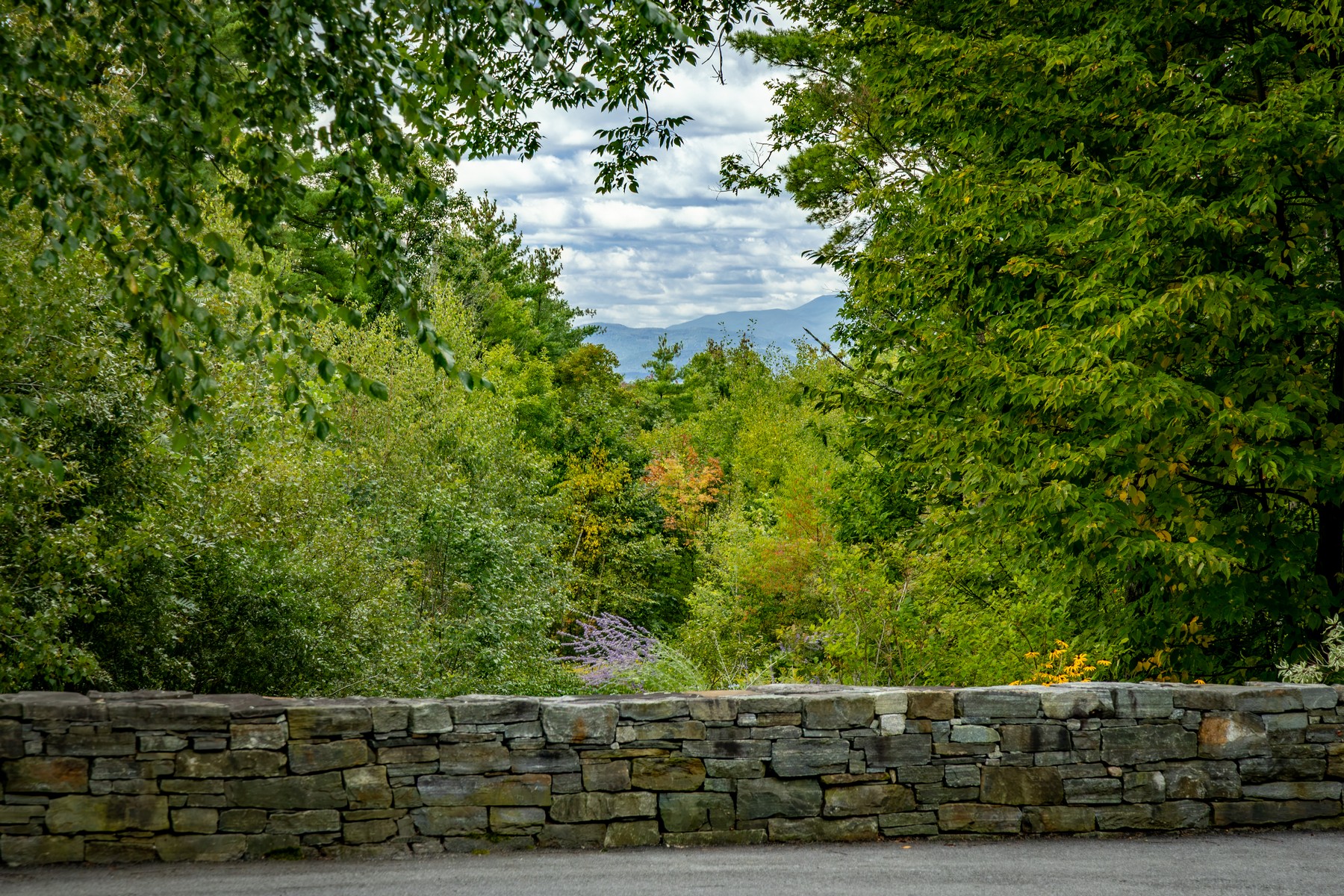  422 Shagbark Lane - 物件實景