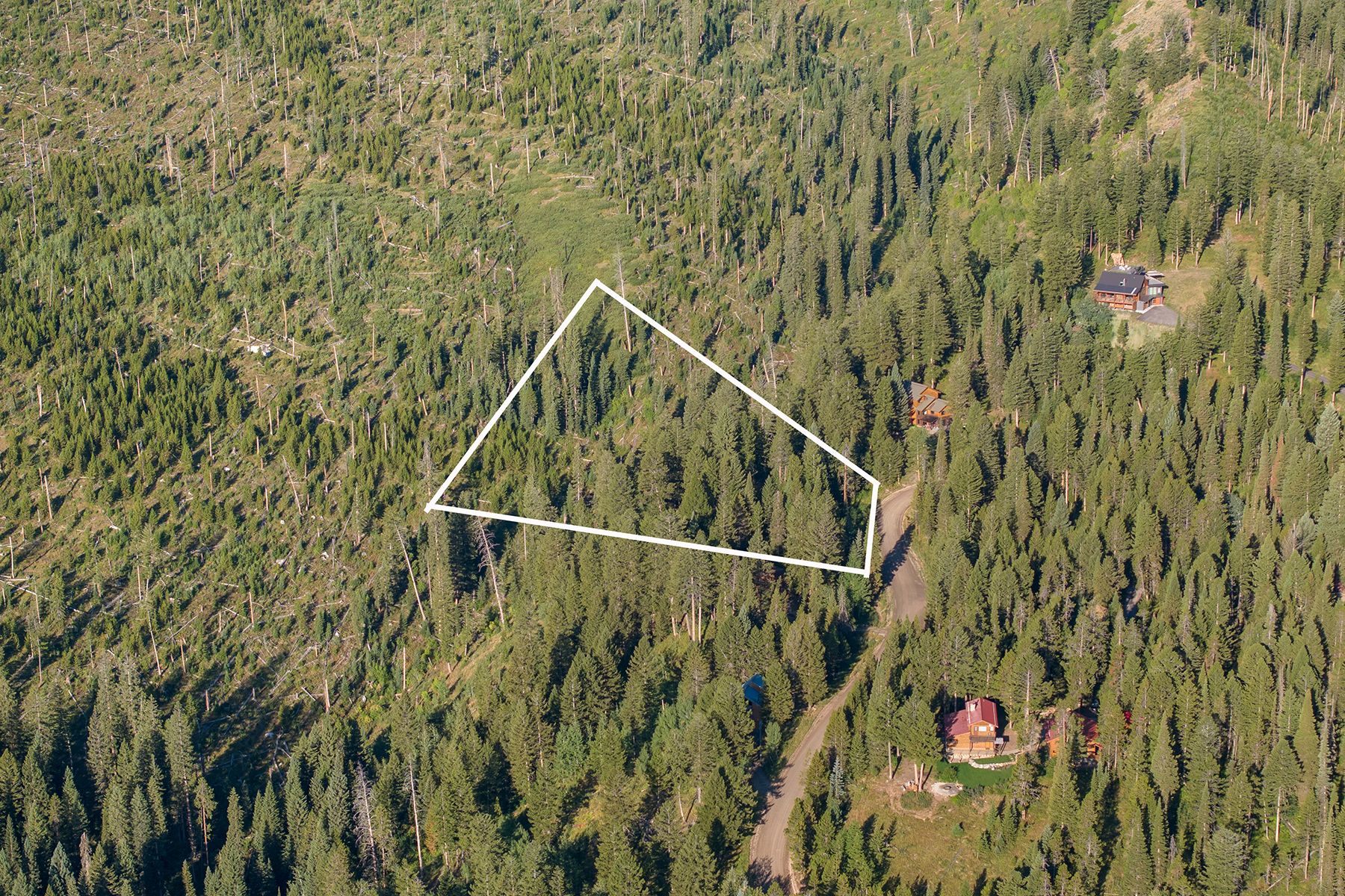  Wilson Acreage Bordering Bridger-Teton National Forest - 物件實景