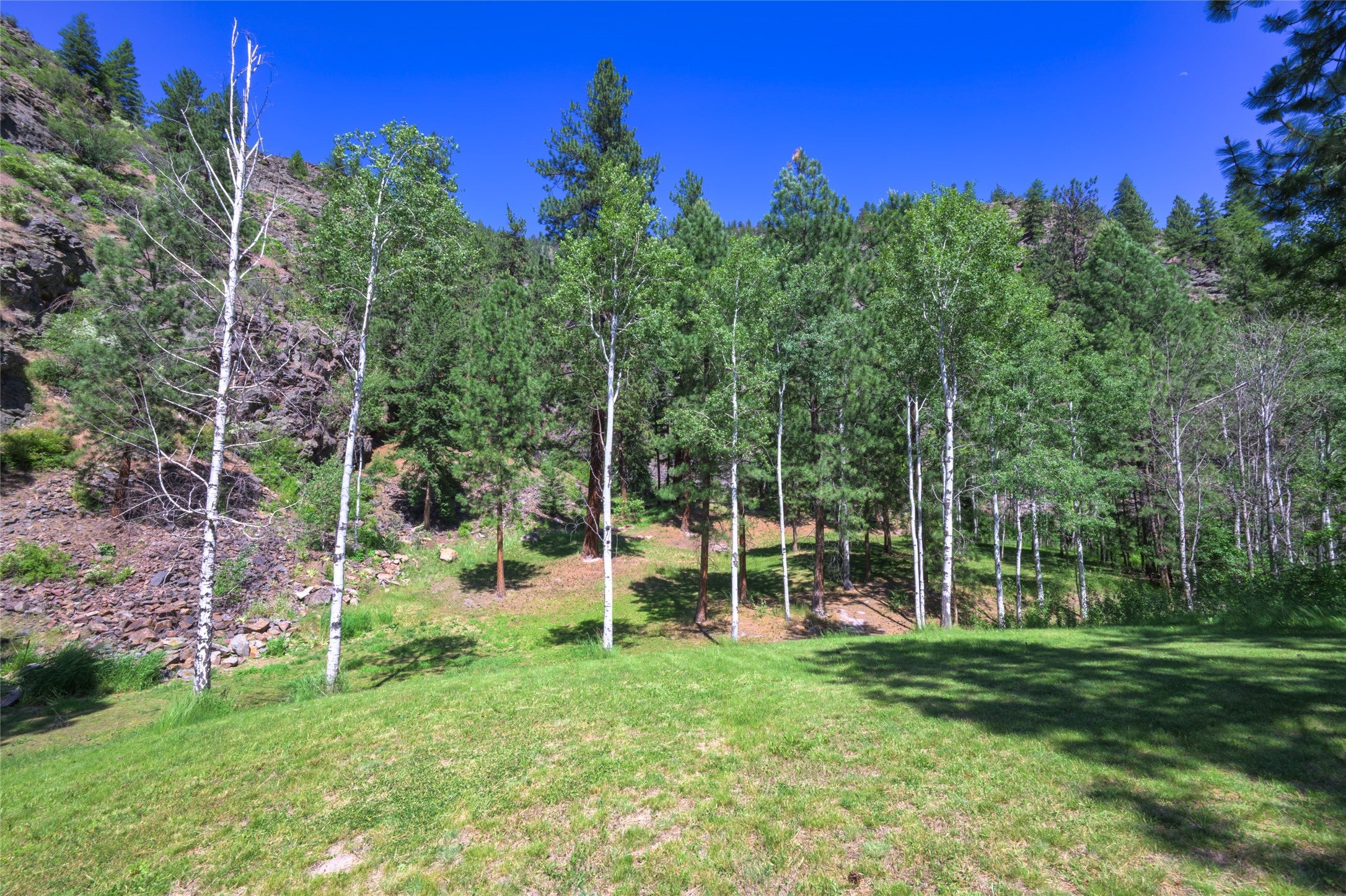 8045 Mt Hwy 200, Plains, Montana, 59859, United States, 3 Bedrooms Bedrooms, ,1 BathroomBathrooms,Residential,For Sale,8045 Mt Hwy 200,1586647