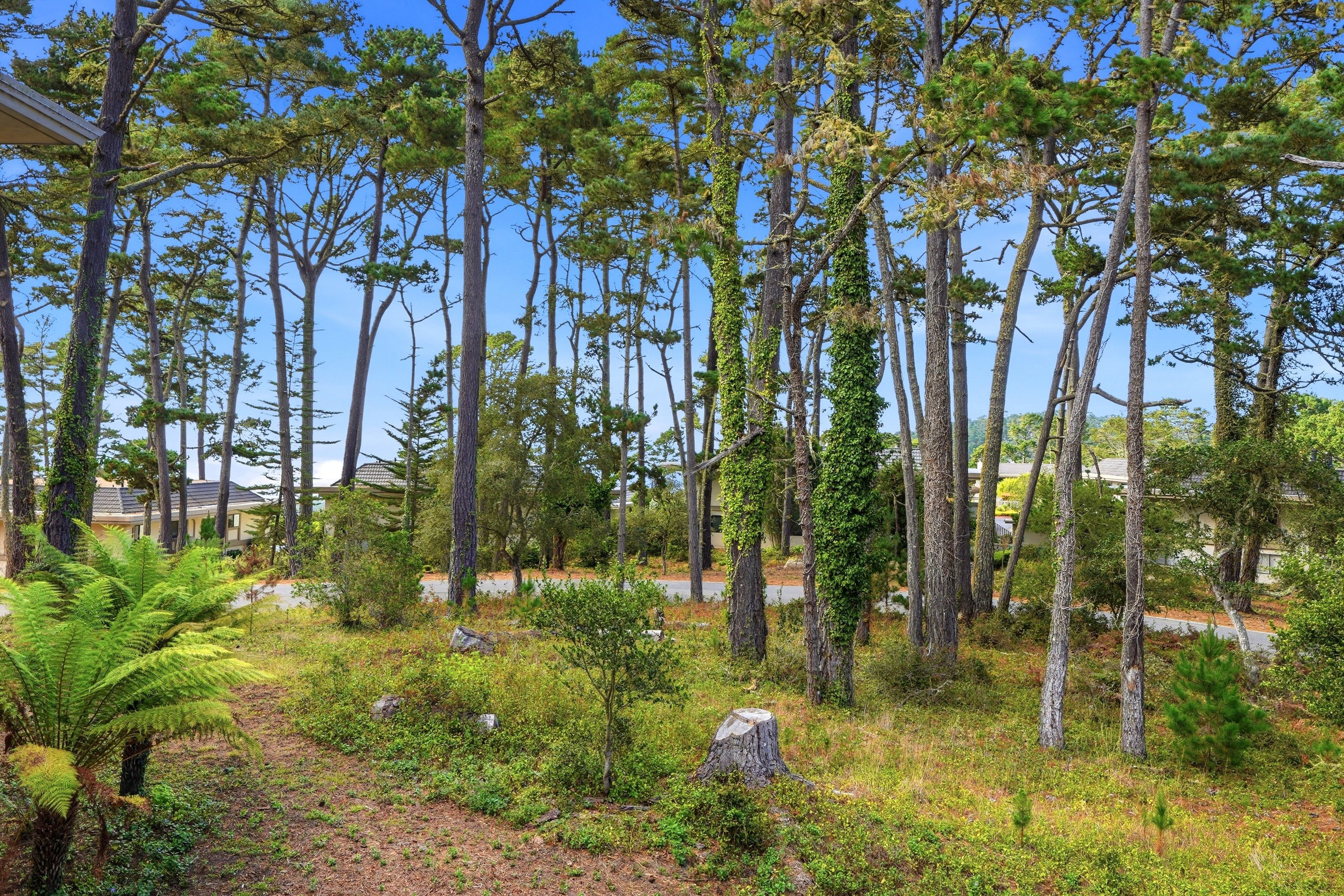  80 Ocean Pines Lane - 物件實景