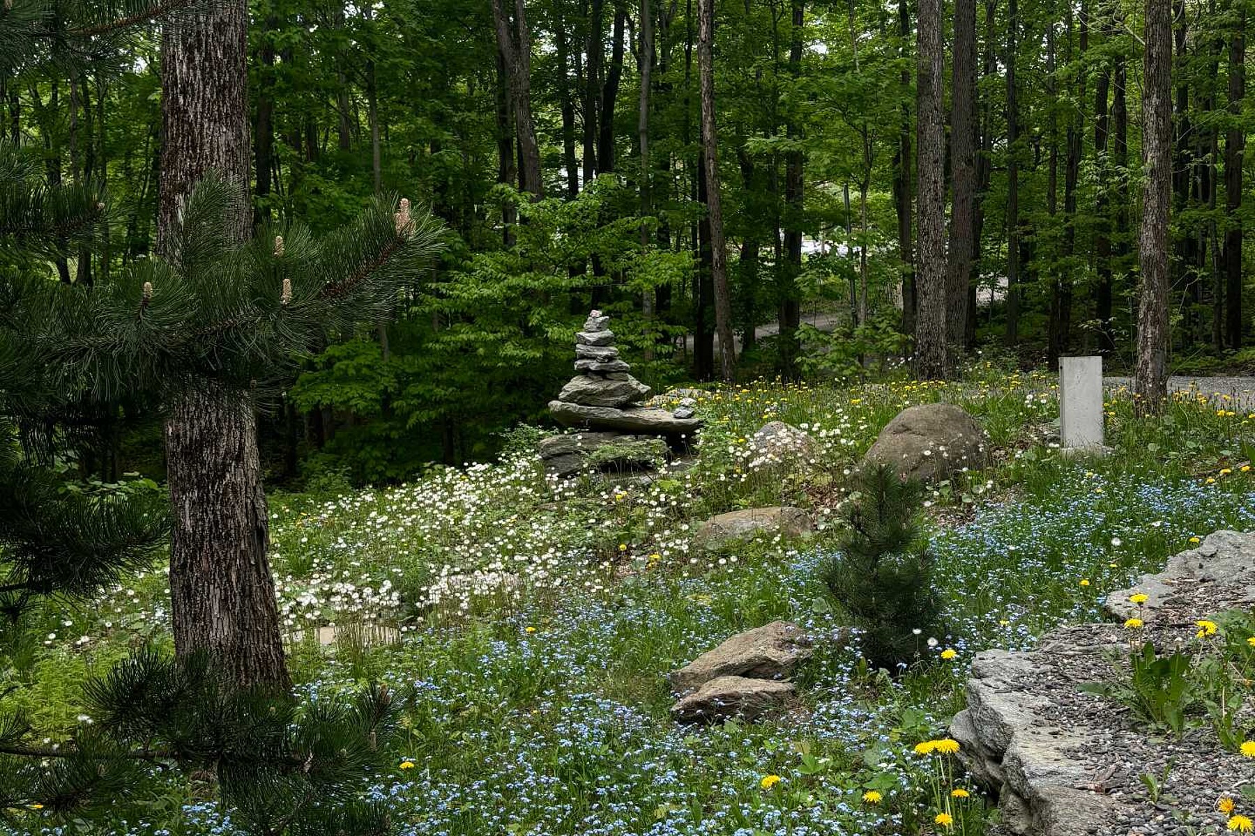  Sutton, Eastern Townships - 物件實景