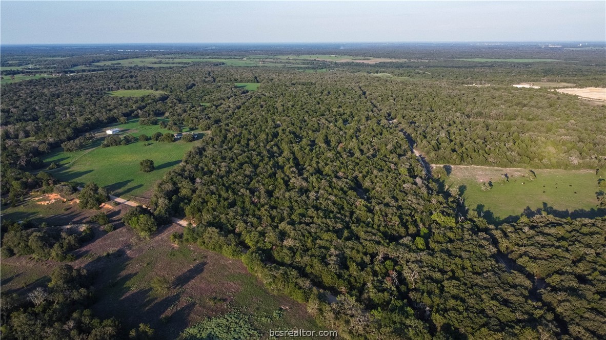 5632 County Road 317, Caldwell, Texas, 77836, United States, ,Land,For Sale,5632 County Road 317,1609859