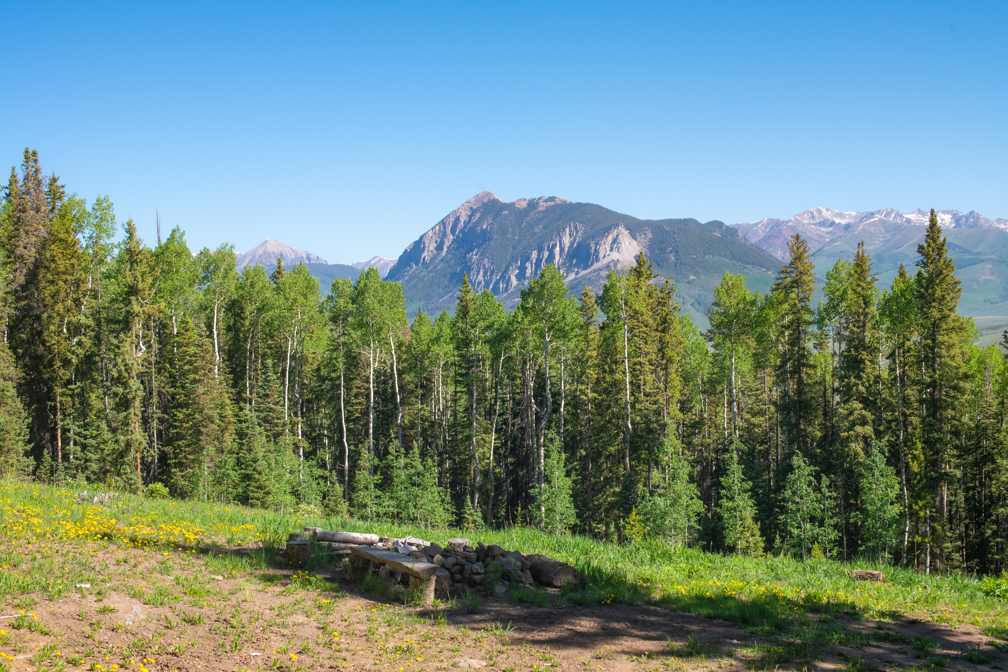  141 White Buffalo Trail, Crested Butte, CO, 81224 - 物件實景