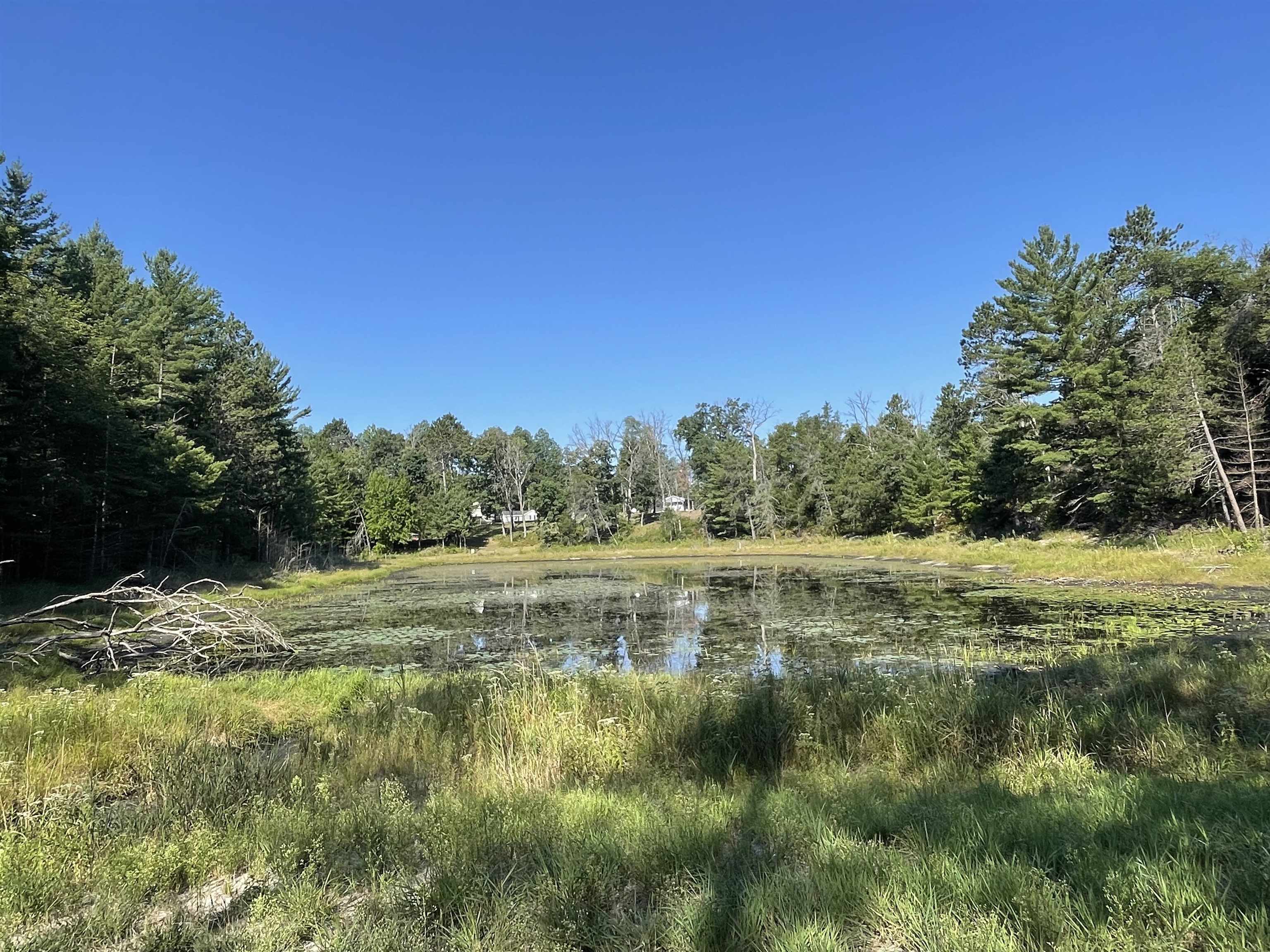 Harrison, Michigan, 48625, United States, 3 Bedrooms Bedrooms, ,3 BathroomsBathrooms,Residential,For Sale,2007492