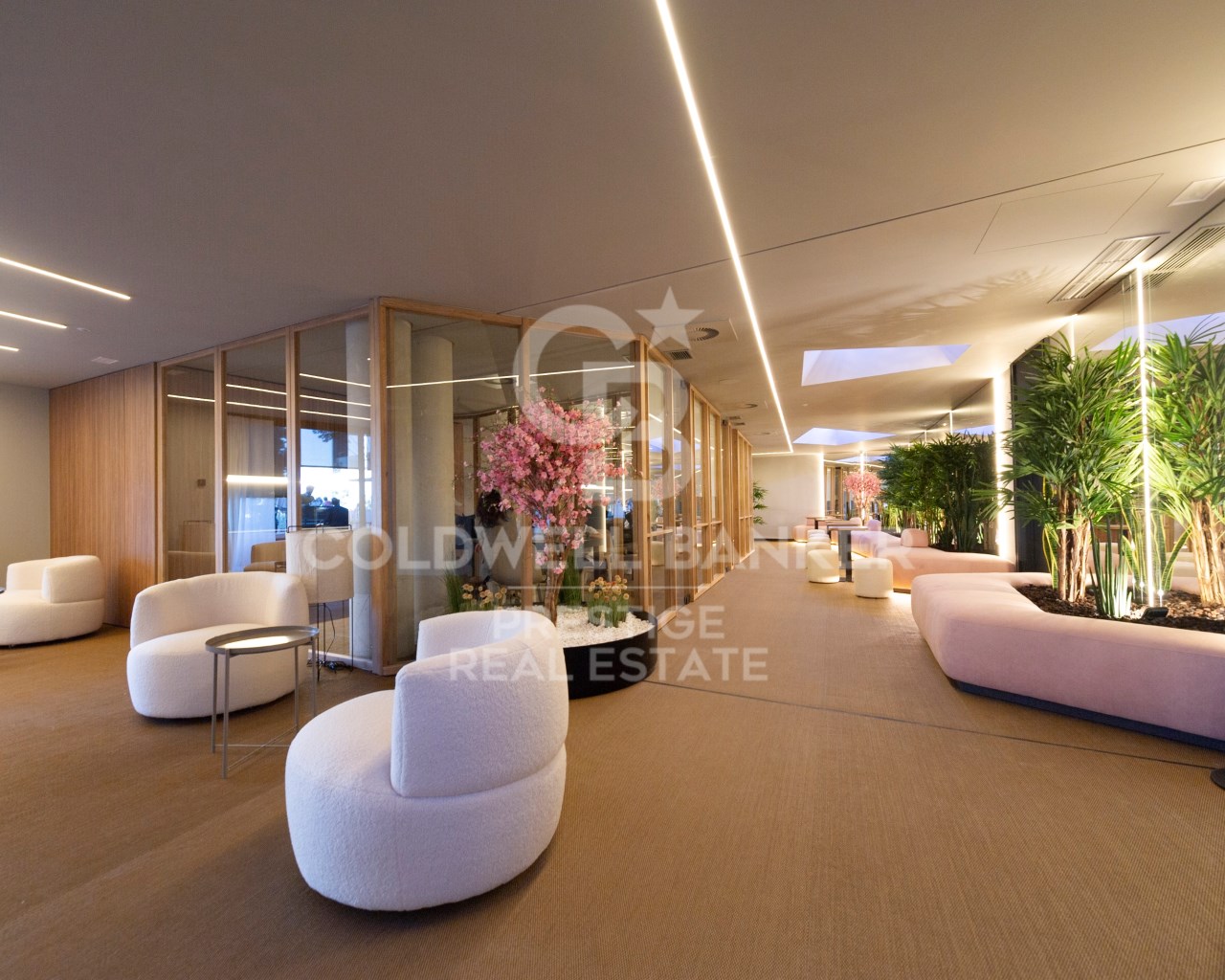 Barcelona, Esplugues de Llobregat, Can Clota Barce, Esplugues de Llobregat, Catalonia, ES, 3 Bedrooms Bedrooms, ,2 BathroomsBathrooms,Residential,For Sale,Barcelona, Esplugues de Llobregat, Can Clota Barce,1626795