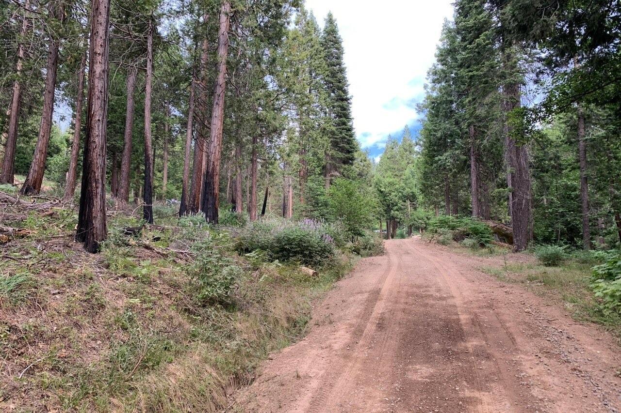 Yosemite, California, 95389, United States, ,Residential,For Sale,1791701