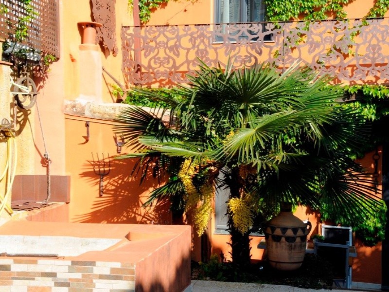 Girona, Palafrugell, Vila de Palafrugell Girona, P, Palafrugell, Catalonia, ES, 3 Bedrooms Bedrooms, ,3 BathroomsBathrooms,Residential,For Sale,Girona, Palafrugell, Vila de Palafrugell Girona, P,1619679