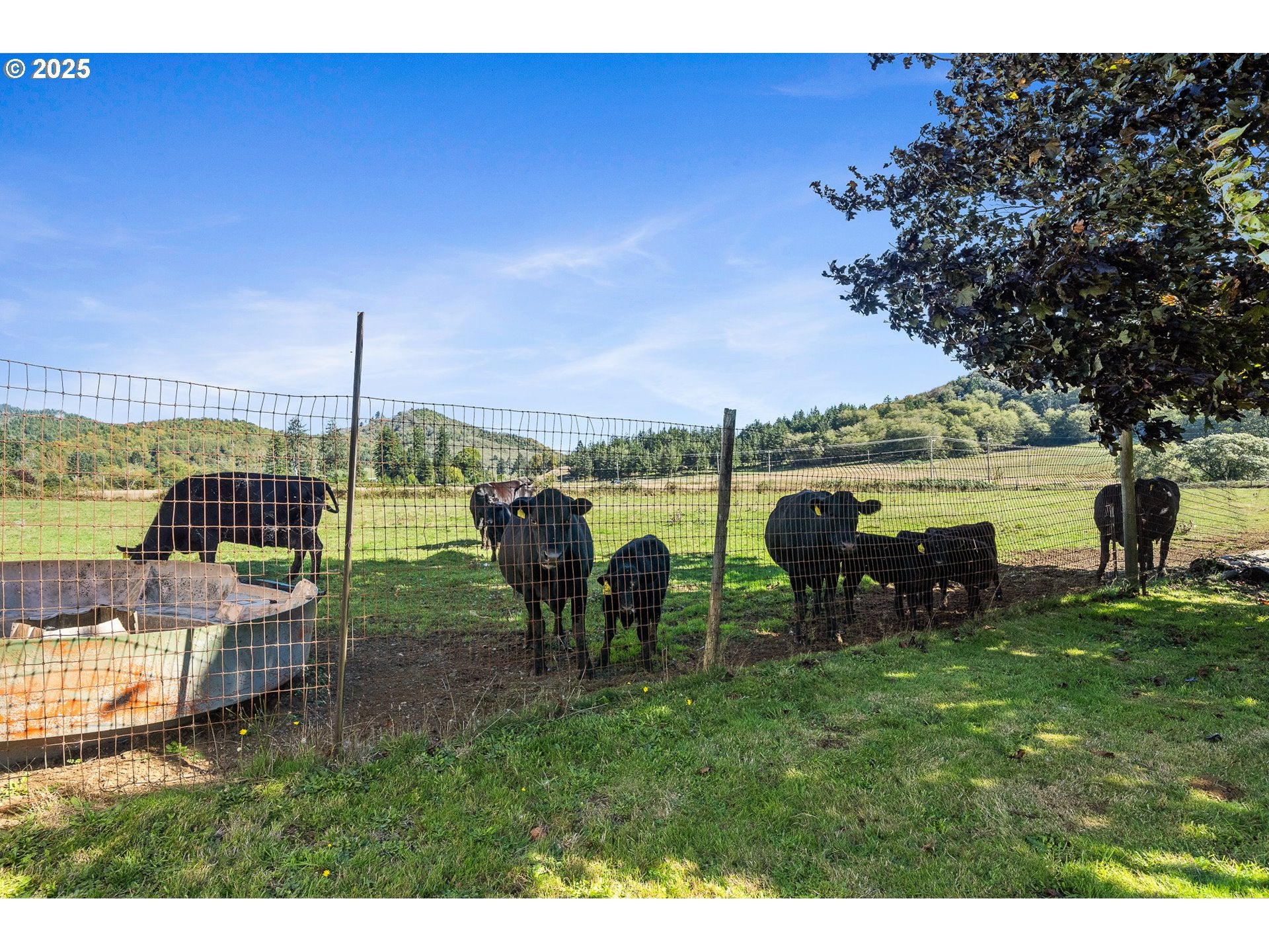 Beaver, Oregon, 97108, United States, 4 Bedrooms Bedrooms, ,2 BathroomsBathrooms,Residential,For Sale,1991728