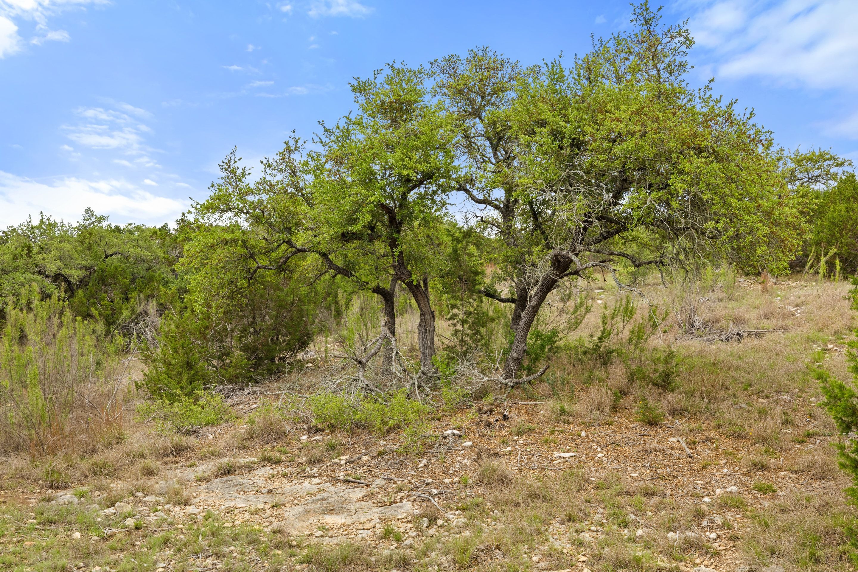  83 S Flat Rock Way - 5 Acre Lot in Gated Legacy Hills - 物件實景