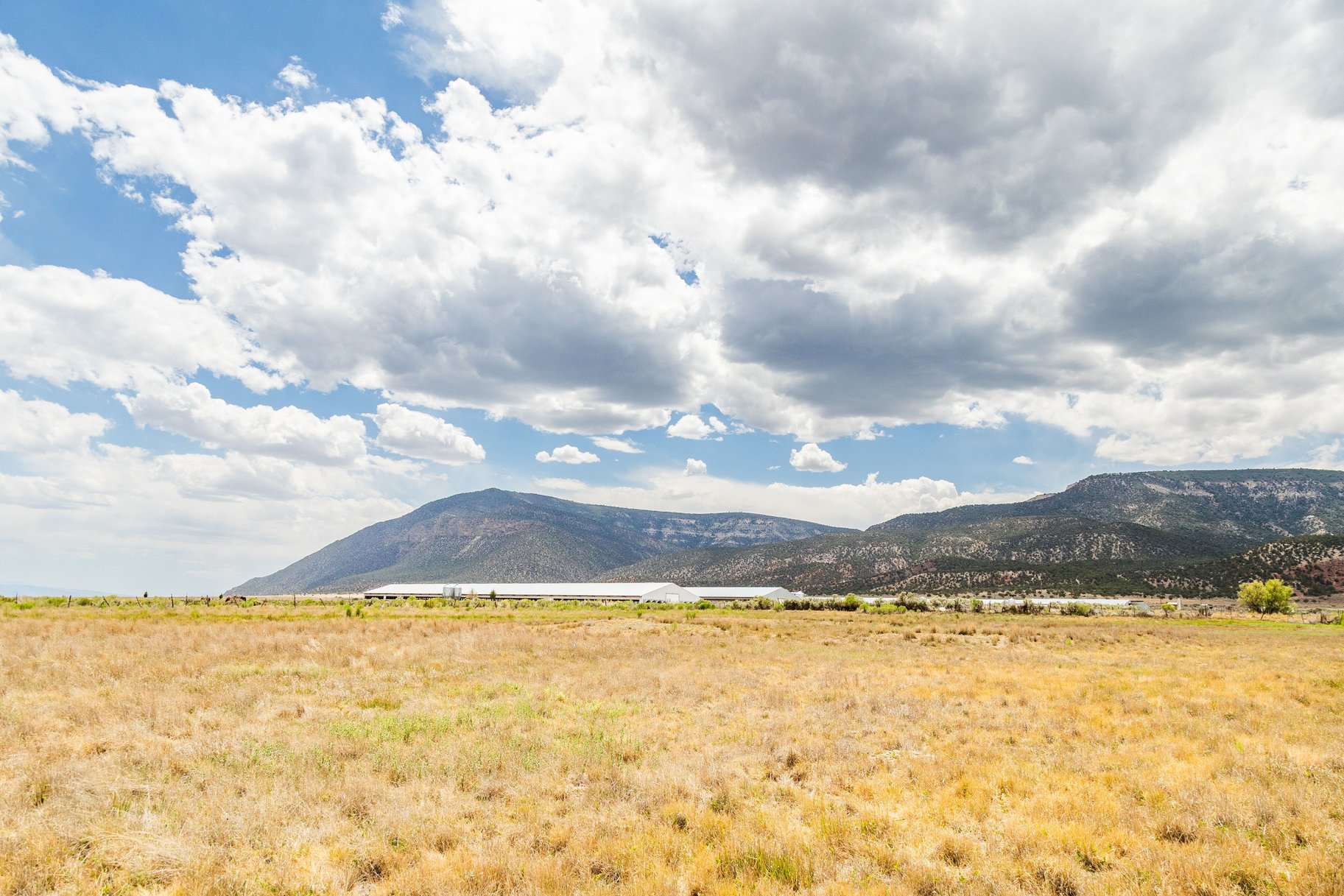  8.5-Acre Lots, No HOA, Stunning Horseshoe Mountain Views - 物件實景