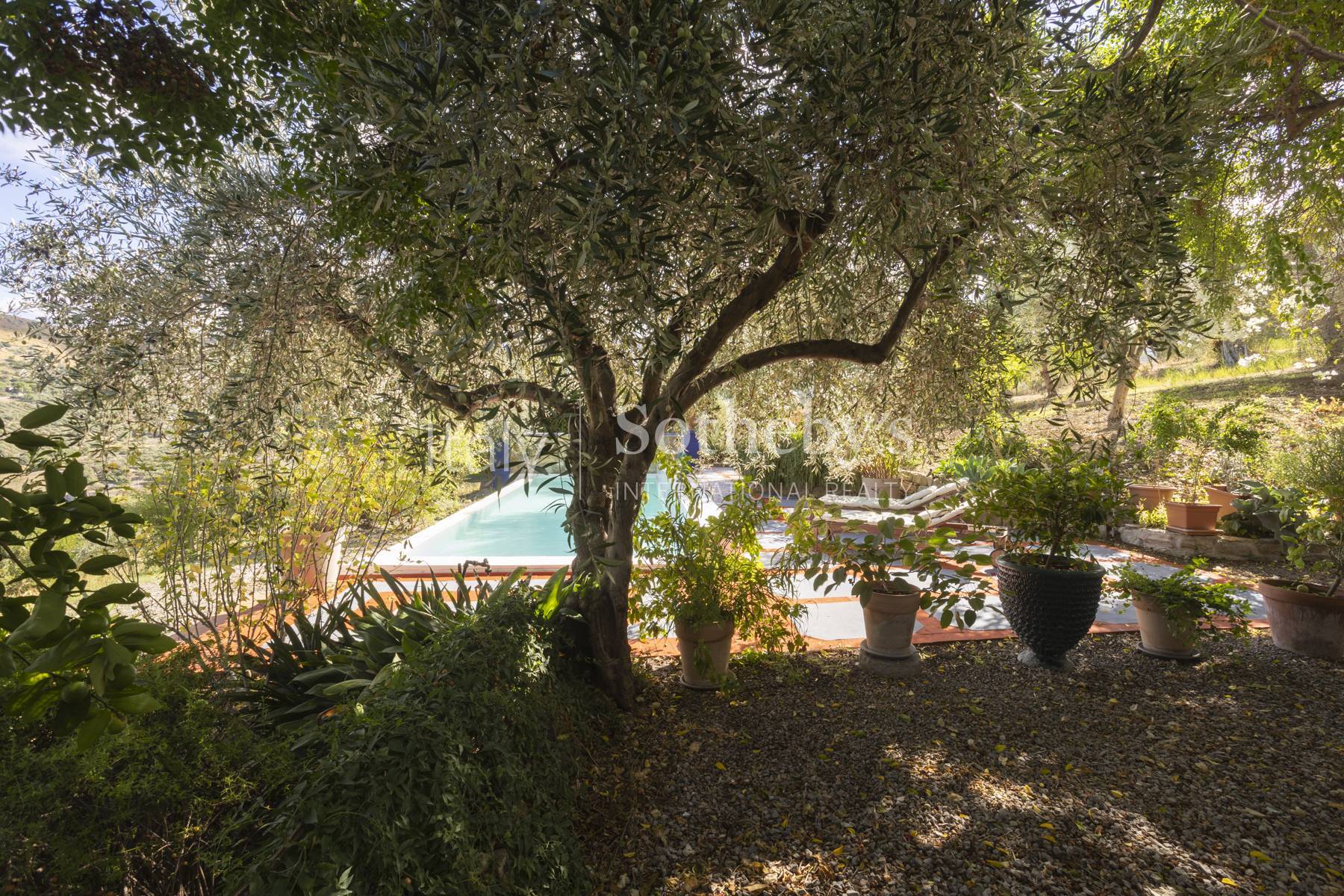  Elegant Villa with Pool in the Sicilian Countryside - 物件實景