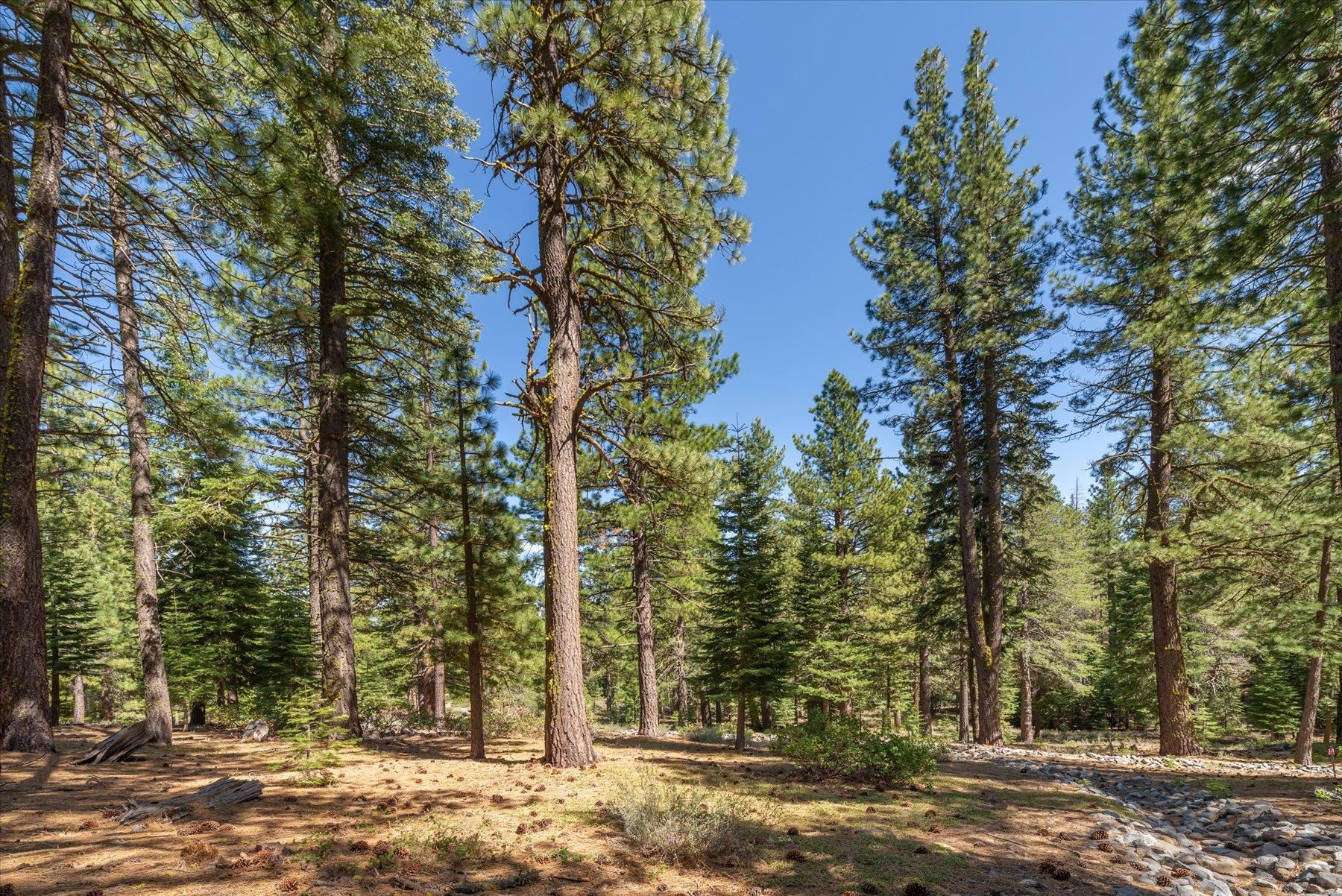 Truckee, California, 96161, United States, ,Land,For Sale,1828145