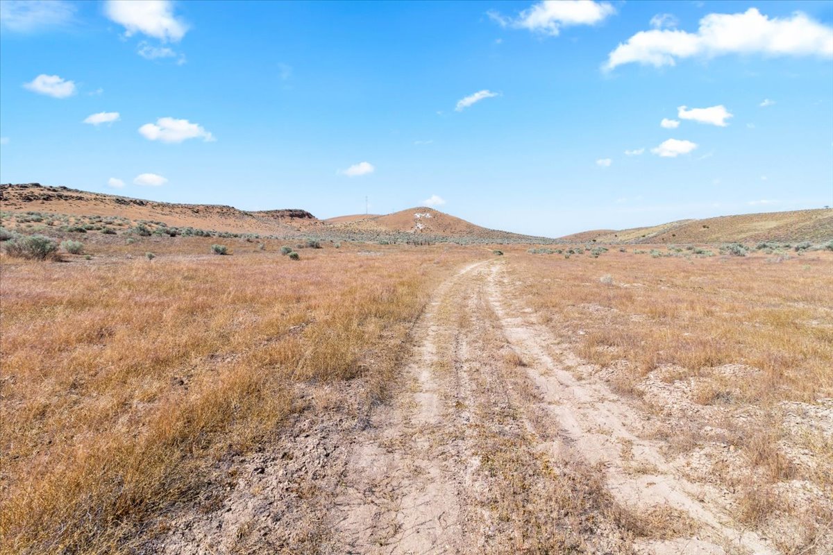 Moroni, Utah, 84646, United States, ,Land,For Sale,1973809