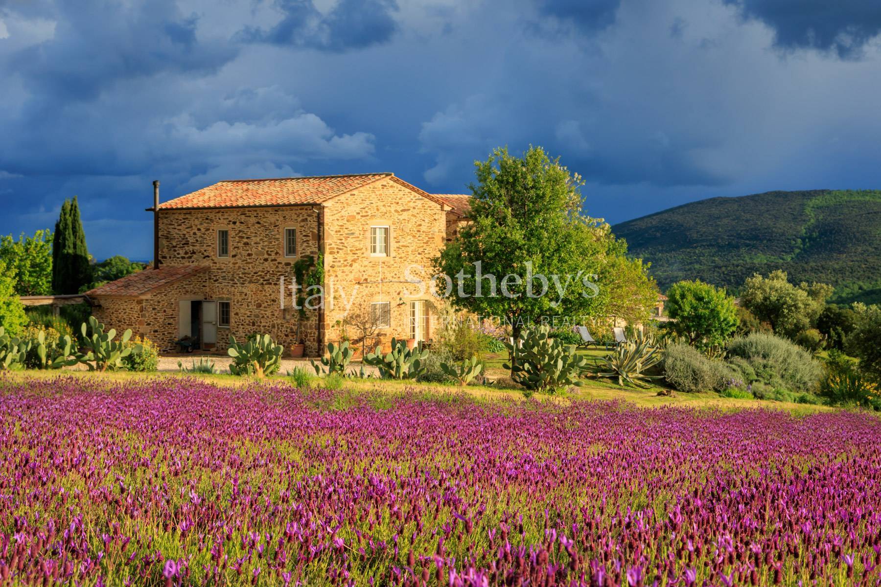  Magnificent estate close to Capalbio - 物件實景