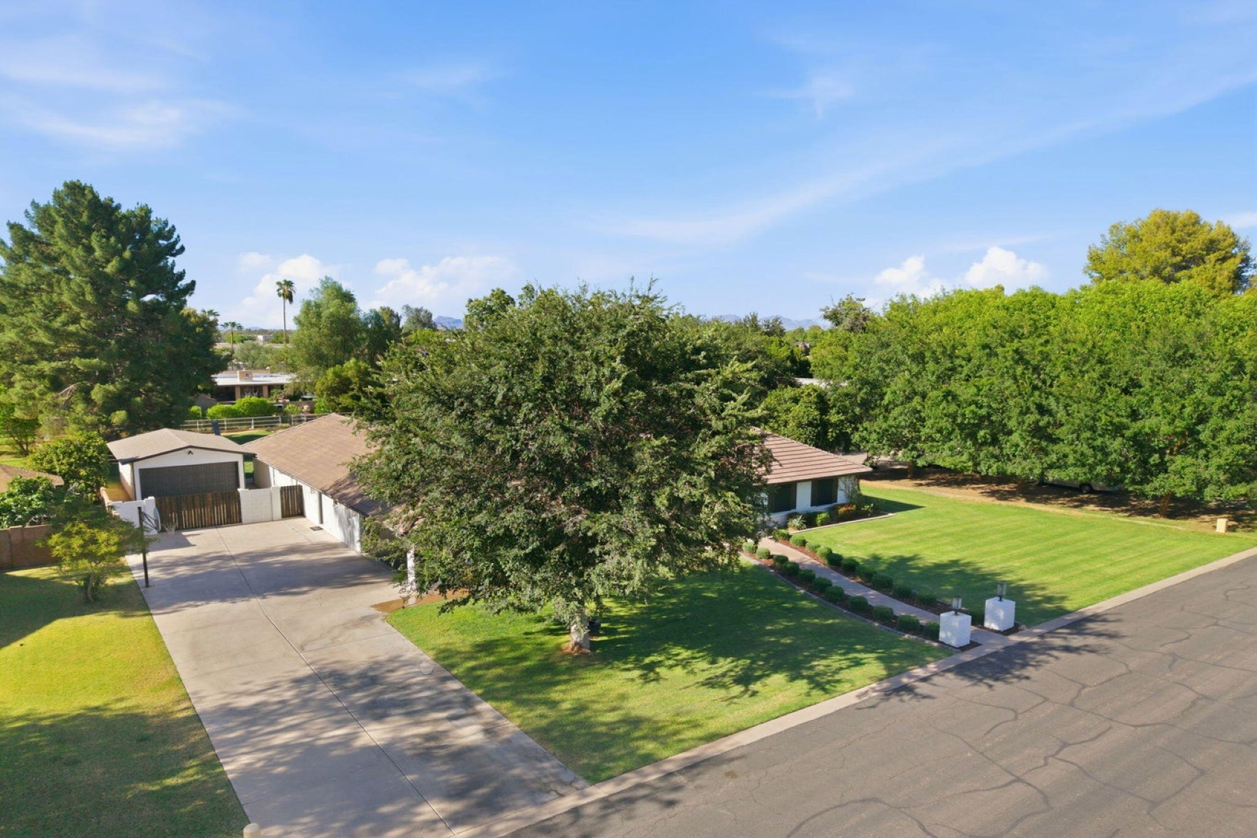  646 E Leah Lane¦Gilbert, AZ - 物件實景