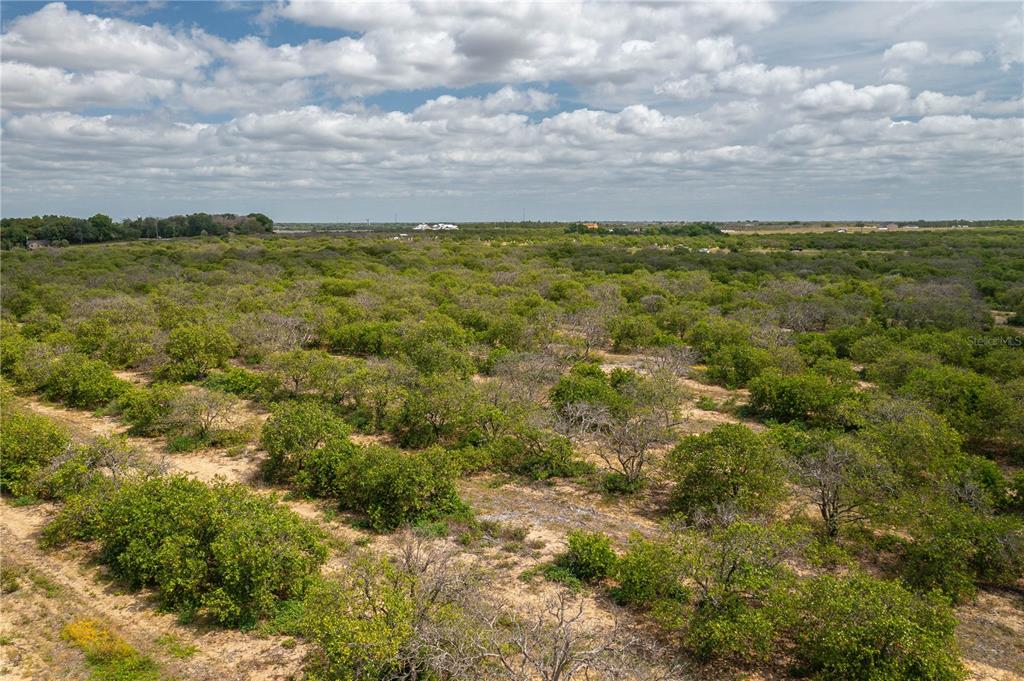 Scenic Highway N, Babson Park, Florida, 33827, United States, ,Land,For Sale,Scenic Highway N,1628498