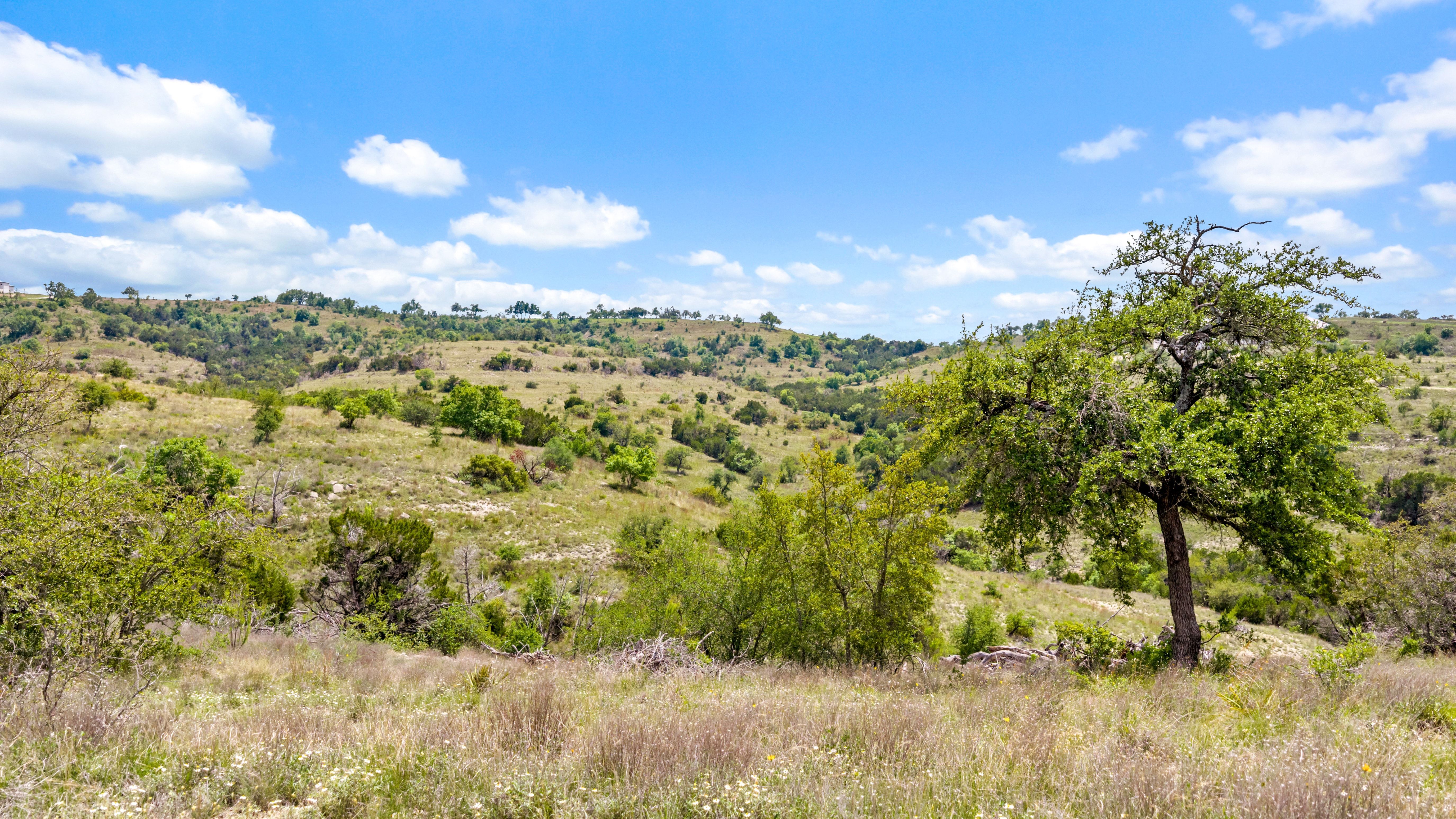  21 Acre Estate Homesite in Gated Preservation Ranch - 物件實景