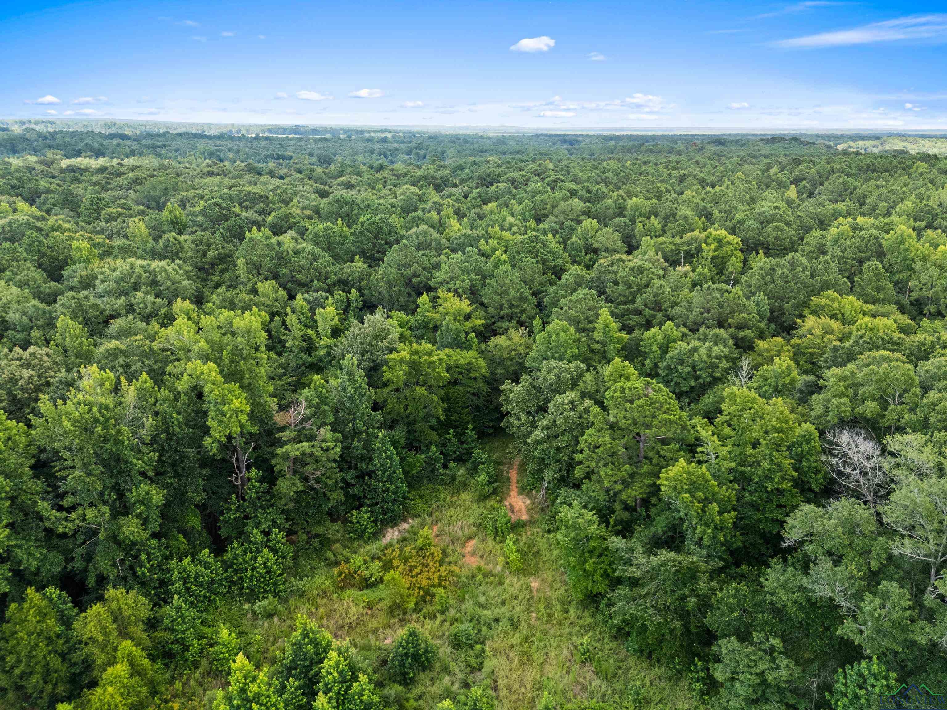 Jefferson, Texas, 75657, United States, ,Land,For Sale,1890245