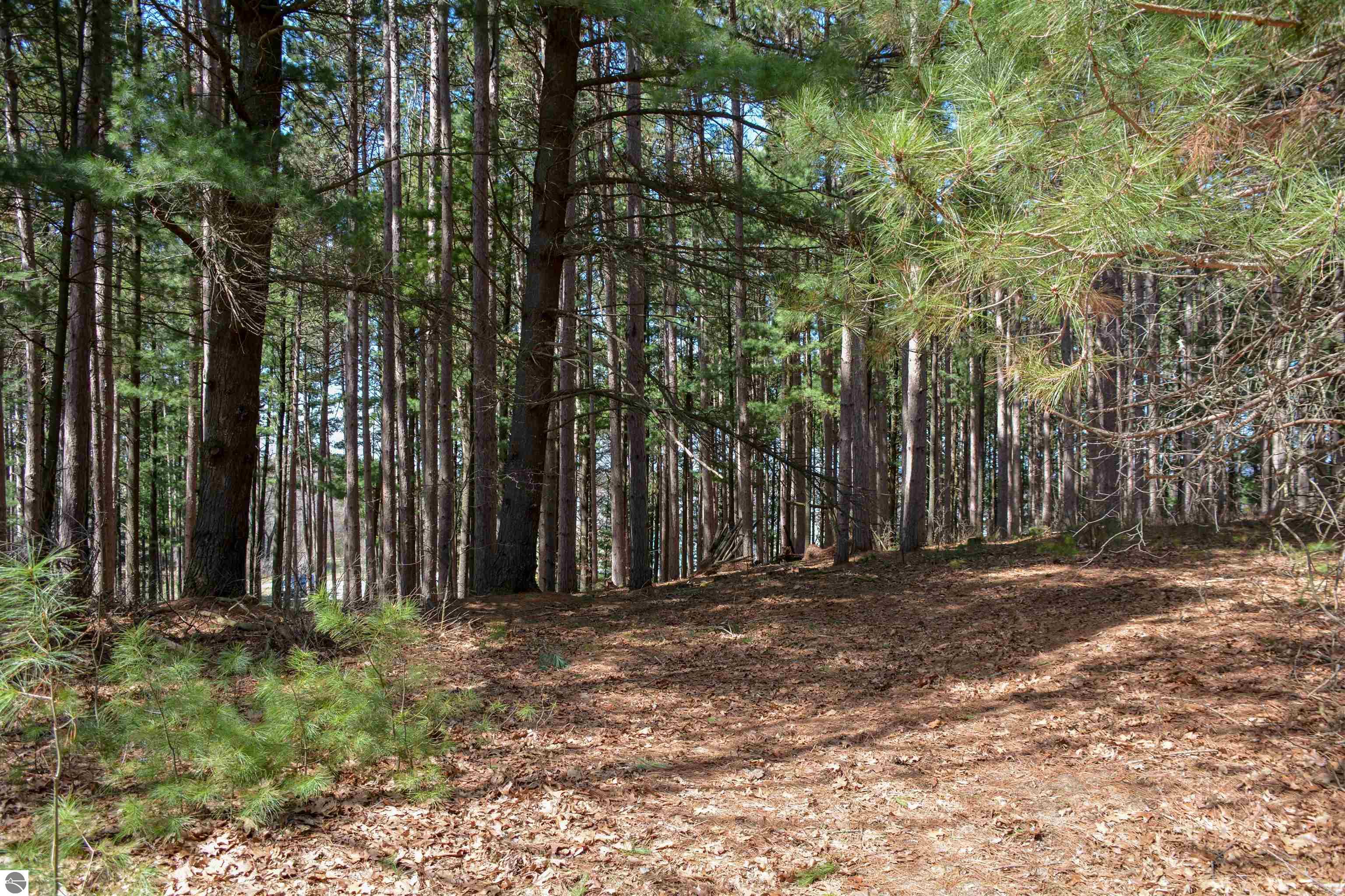 Traverse City, Michigan, 49696, United States, ,Land,For Sale,1850292