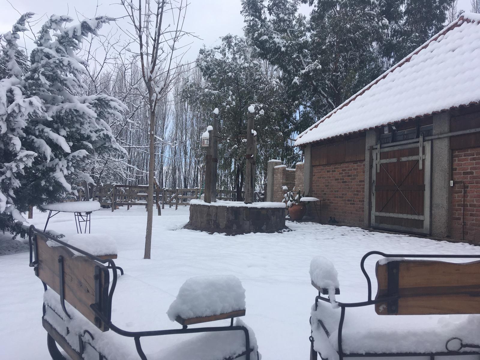 Lujan De Cuyo, AR-M, AR, 5 Bedrooms Bedrooms, ,8 BathroomsBathrooms,Residential,For Sale,1999071