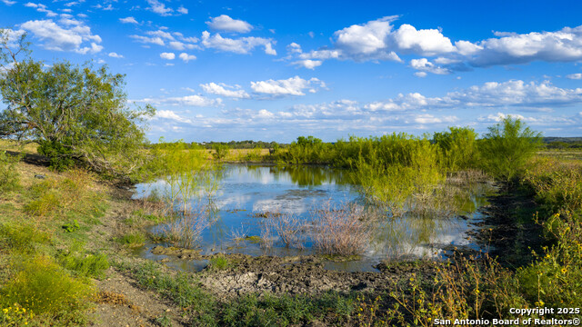 Kingsbury, Texas, 78638, United States, ,Residential,For Sale,1988121