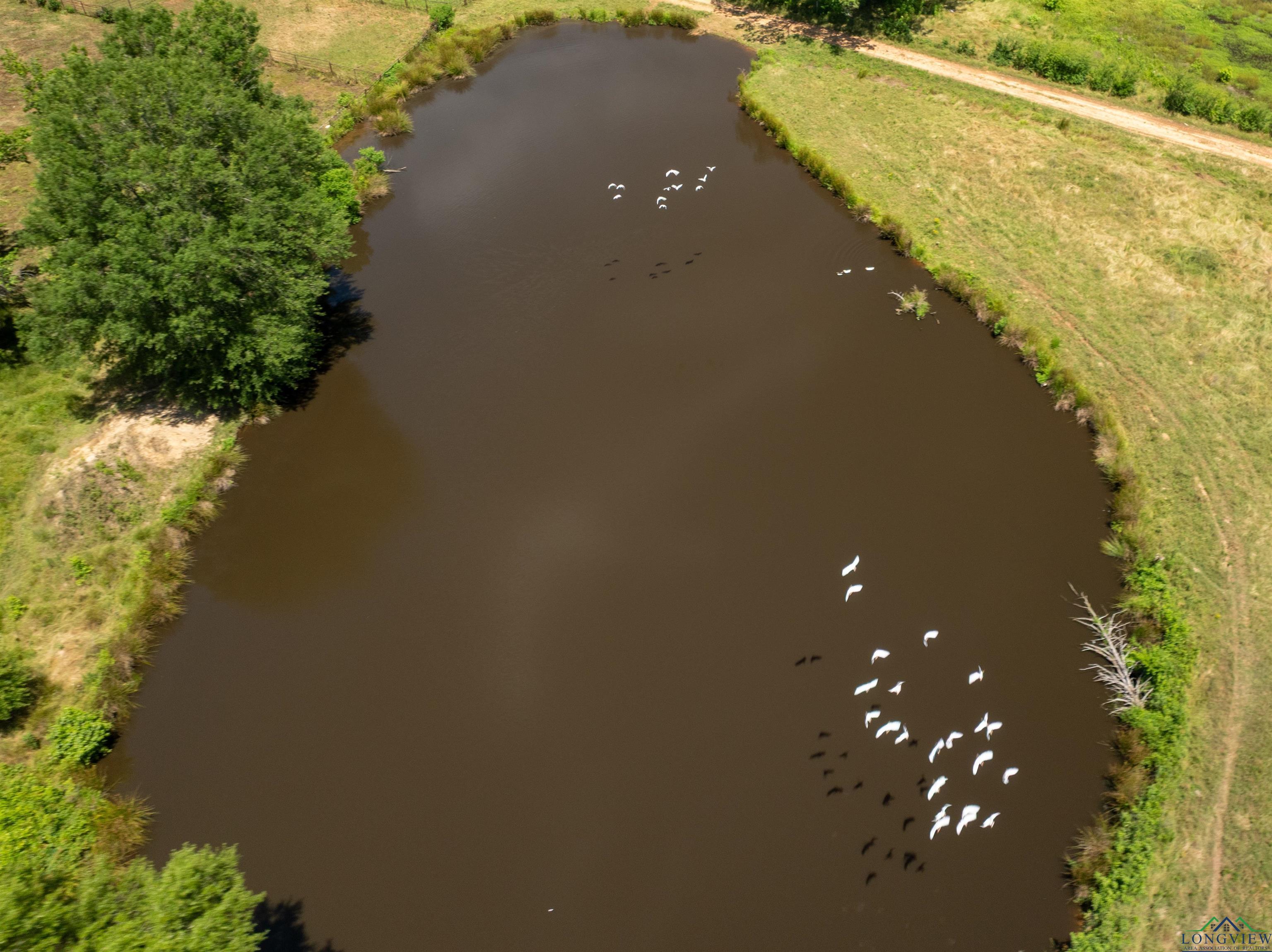 7557 FM 248, Lodi, Texas, 75564, United States, ,Residential,For Sale,7557 FM 248,1614560