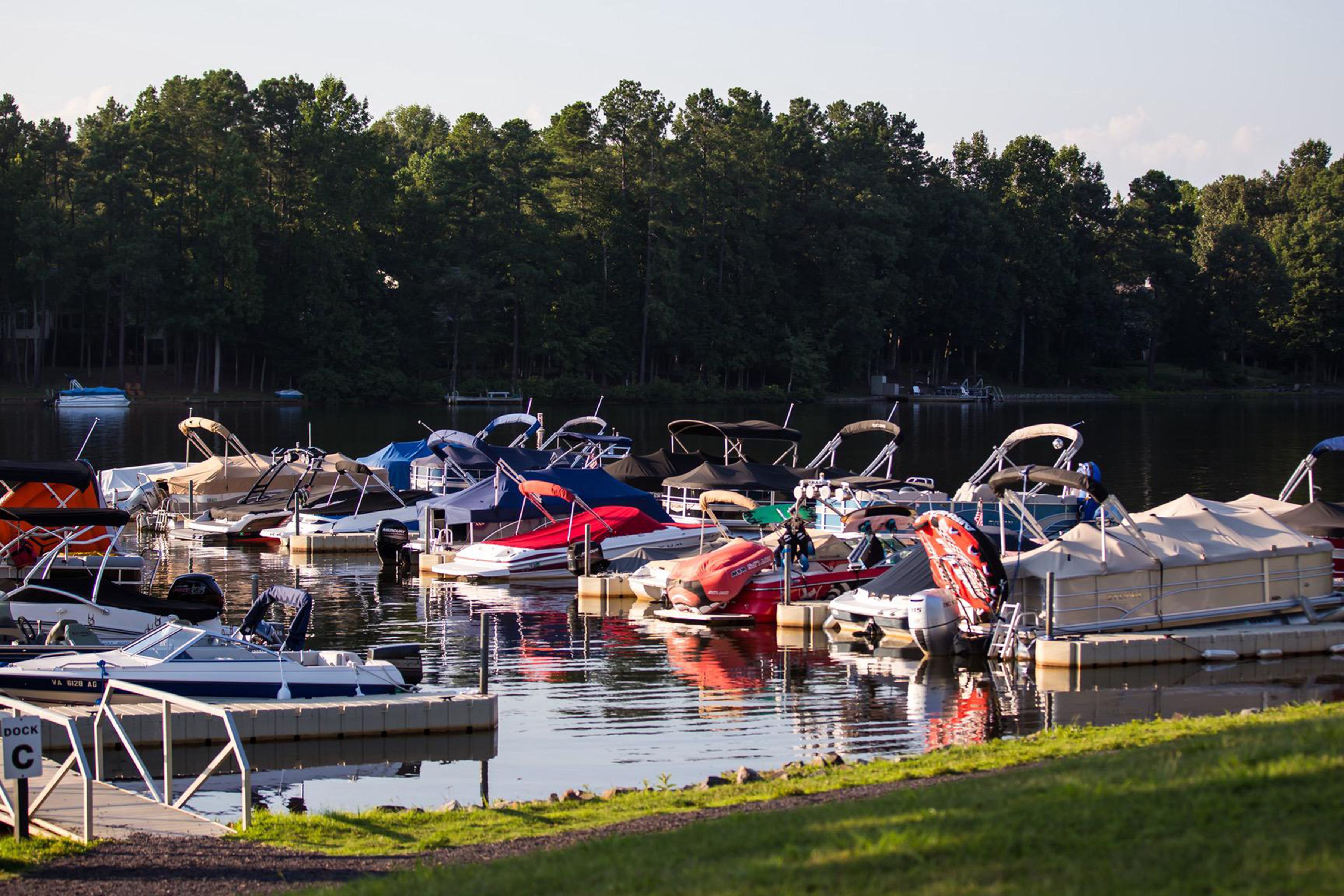  10706 Green Leaf Run, Spotsylvania, VA, 22551 - 物件實景