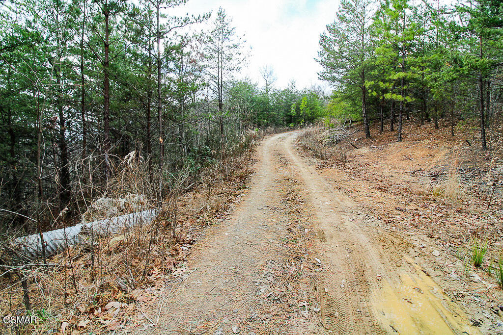 Sevierville, Tennessee, 37876, United States, ,Land,For Sale,2009102