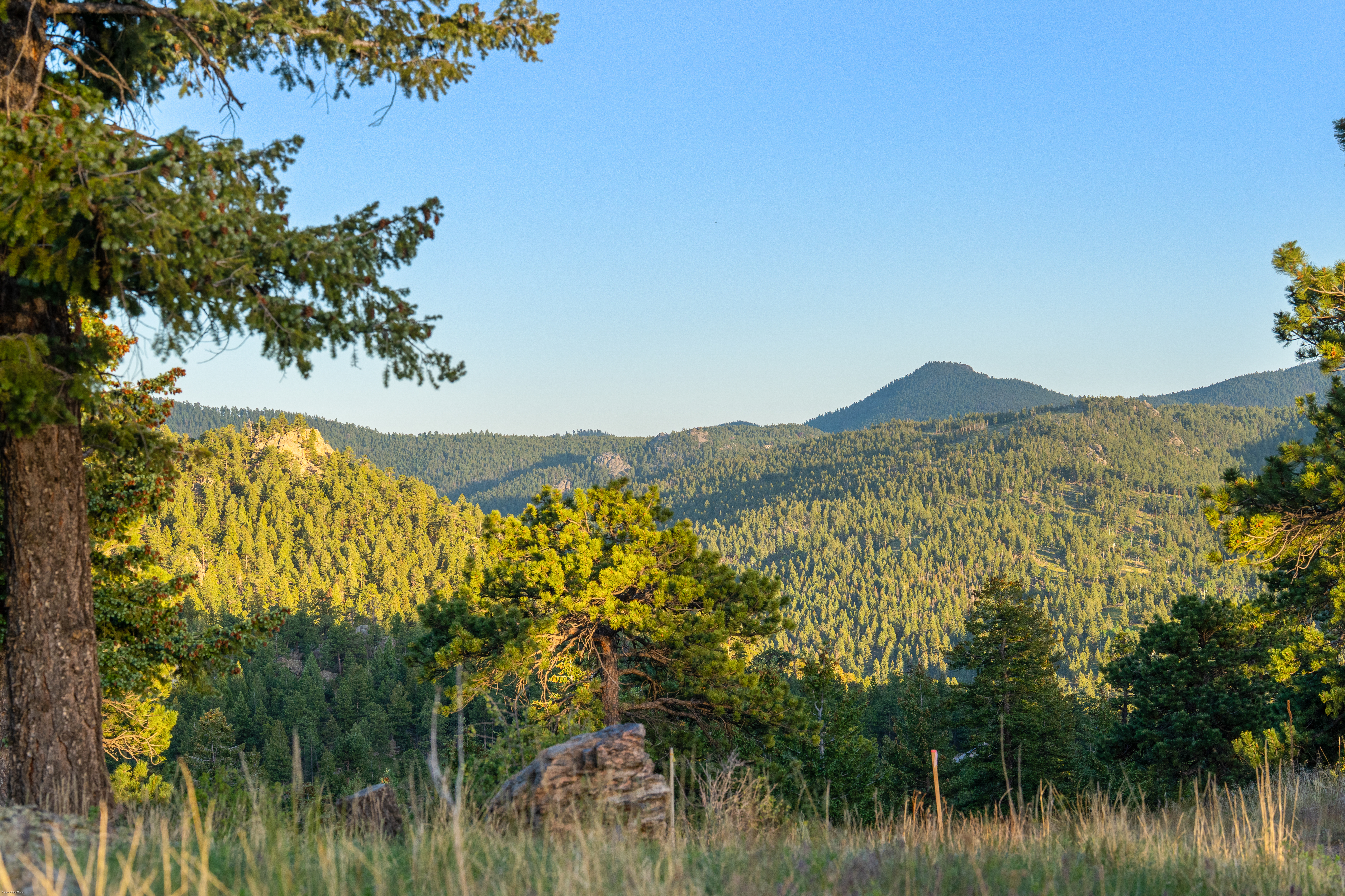  Acreage Available in Evergreen