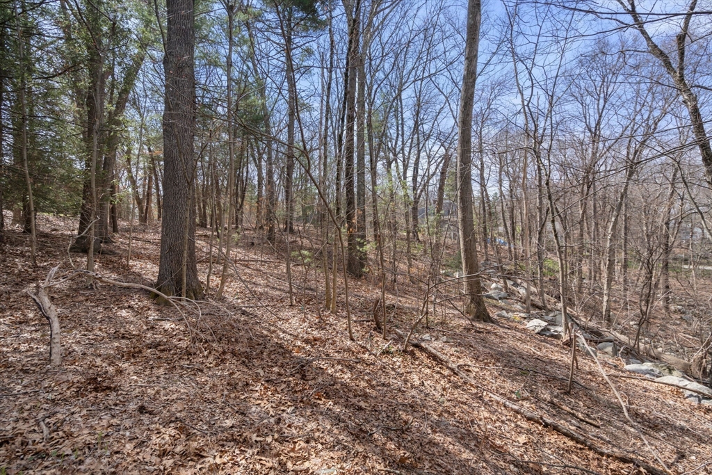 Weston, Massachusetts, 02493, United States, ,Residential,For Sale,1766237