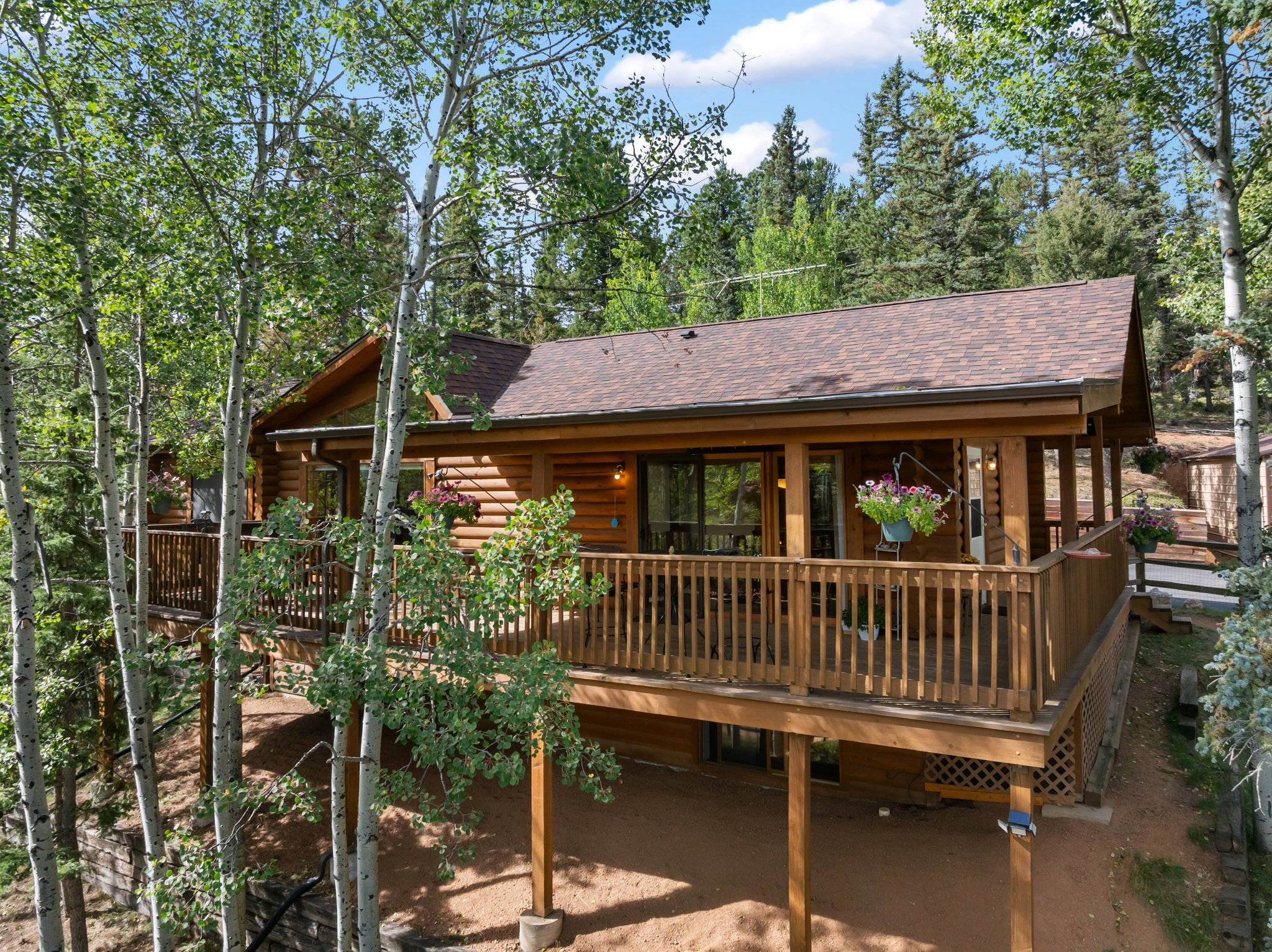 Spring Valley Dr, Divide, CO 80814 #1