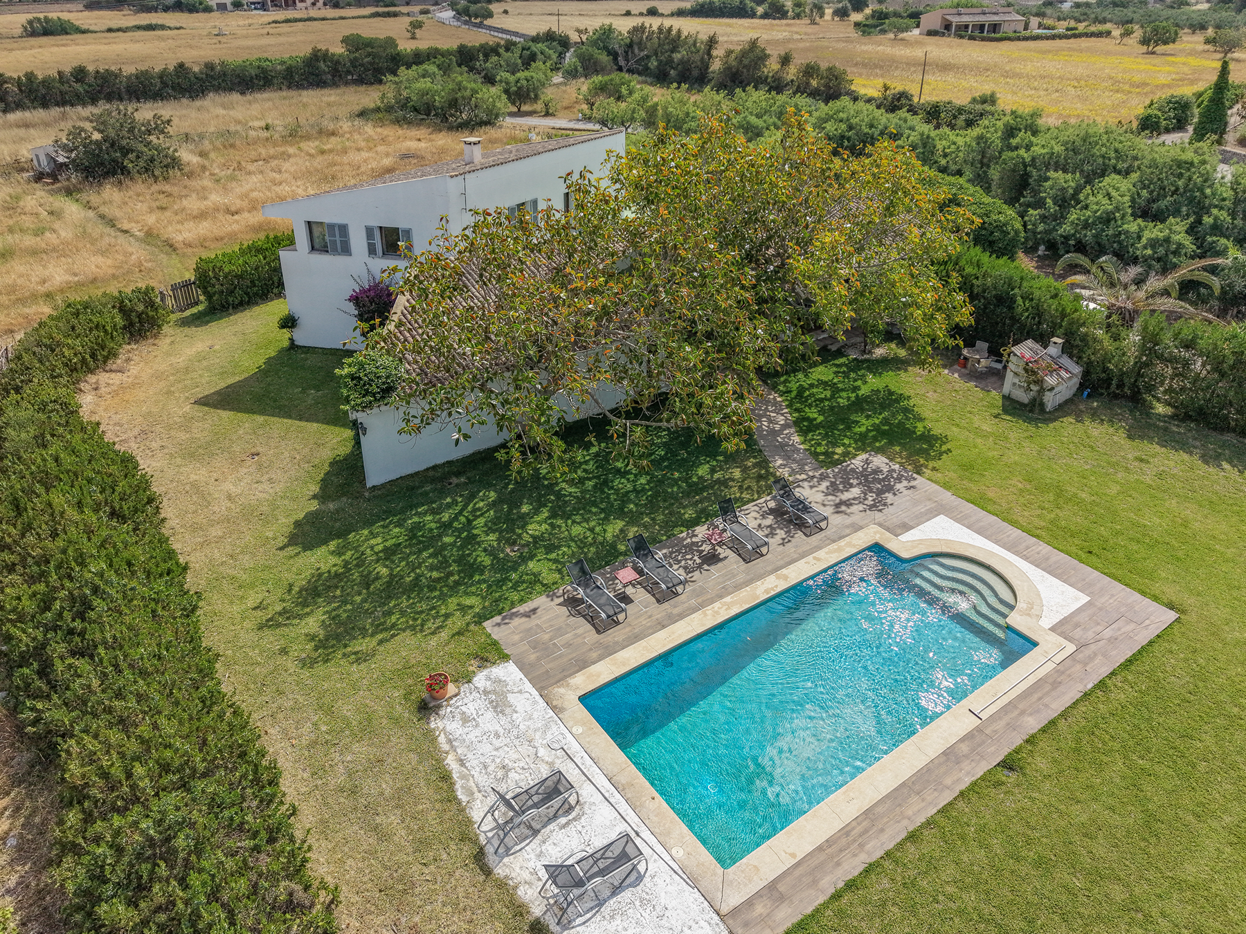  Mallorcan-style house with pool in Alcudia - 物件實景