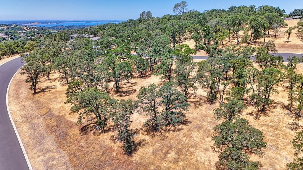 El Dorado Hills, California, 95762, United States, ,Land,For Sale,1993399