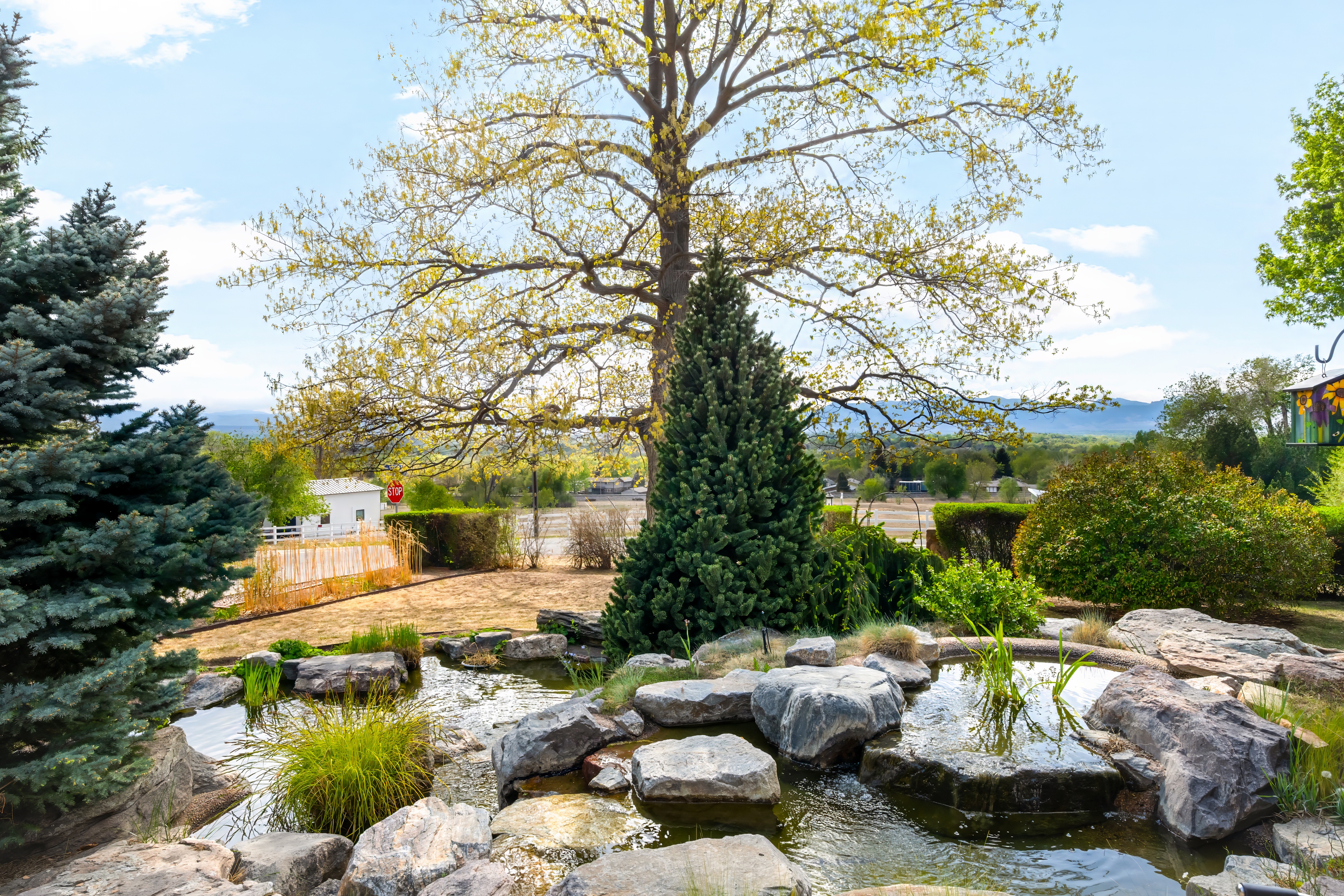  Over 2 Acre Estate With Unobstructed Mountain Views - 物件實景
