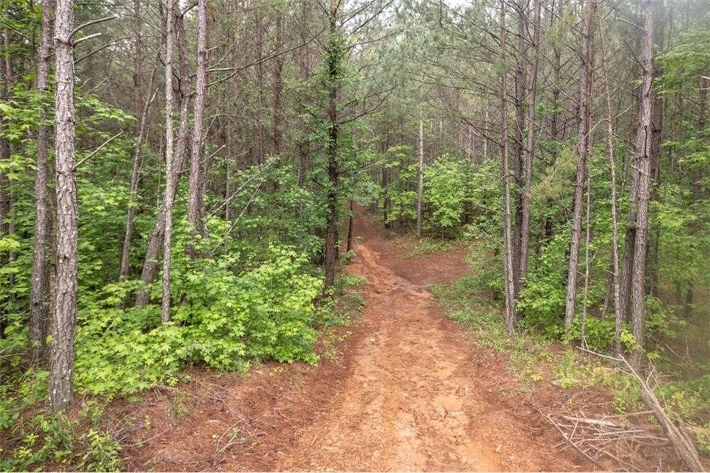 Jasper, Georgia, 30143, United States, ,Land,For Sale,2005889