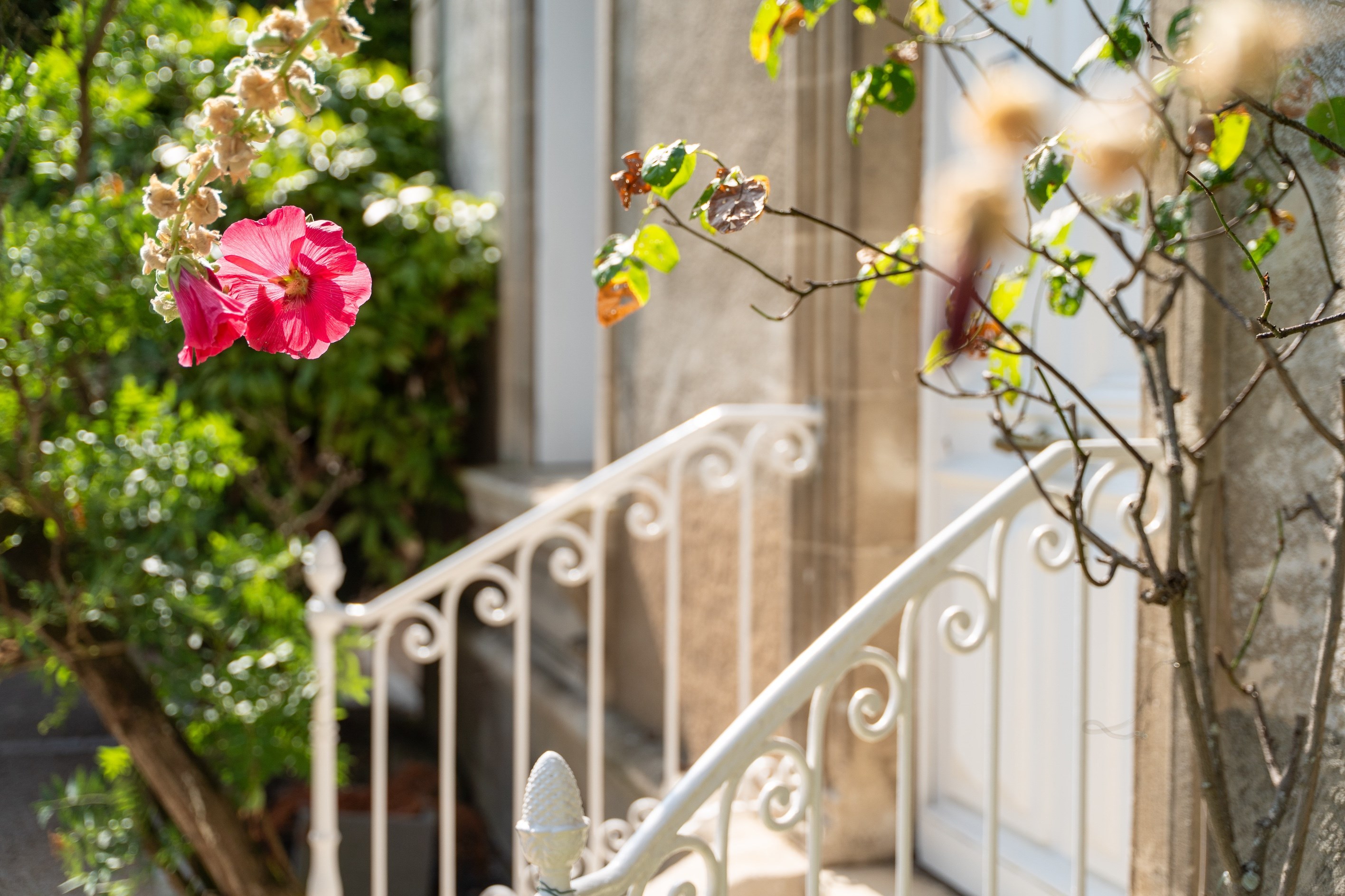  Unique Property in the Heart of La Genette - 物件實景