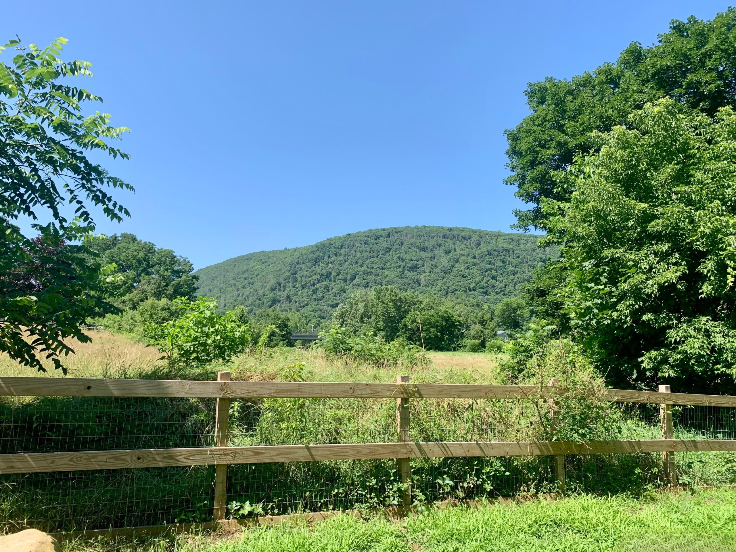  39 Johnson Road - 物件實景