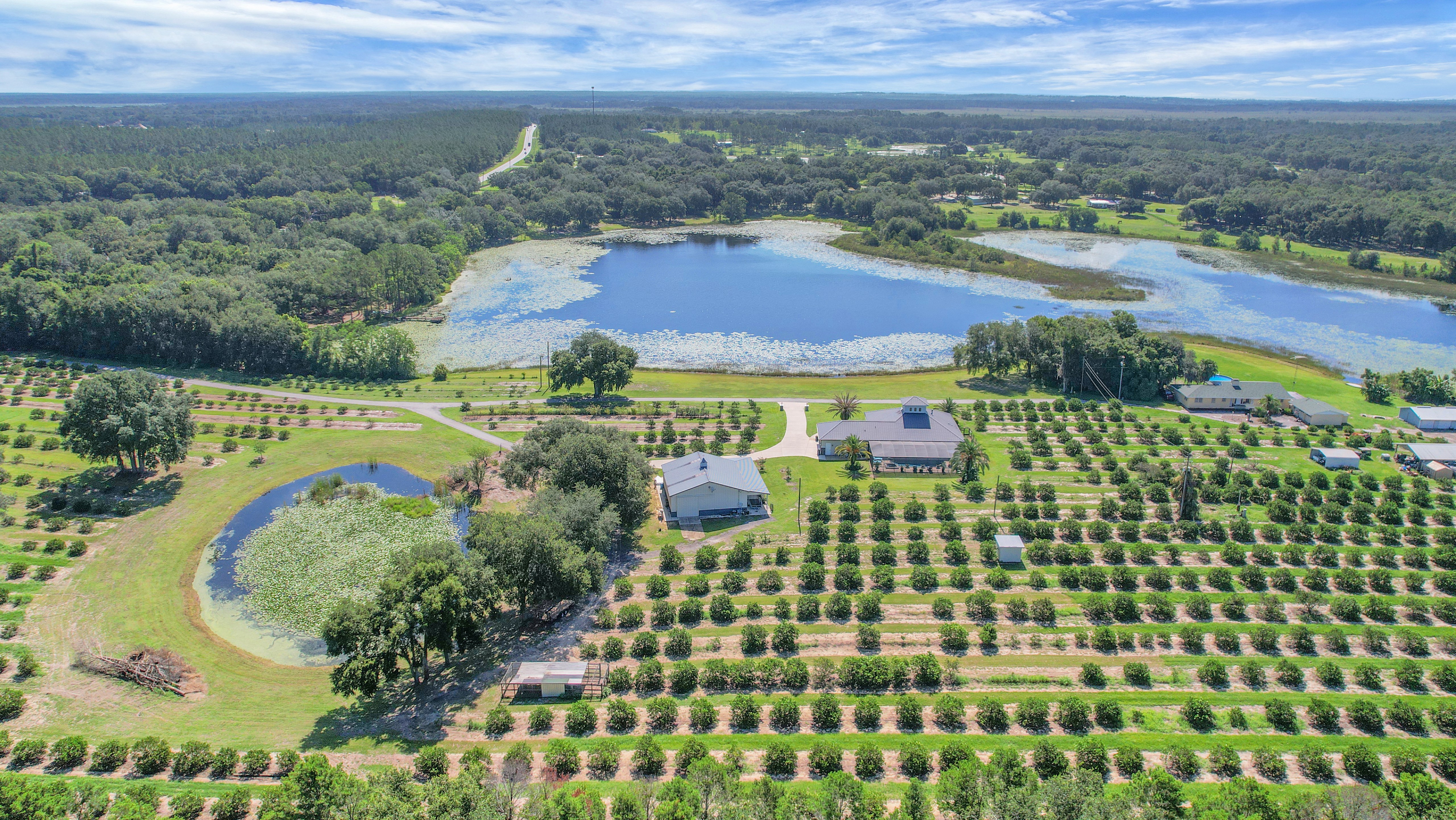 Weirsdale, Florida, 32195, United States, 4 Bedrooms Bedrooms, ,3 BathroomsBathrooms,Residential,For Sale,1900688