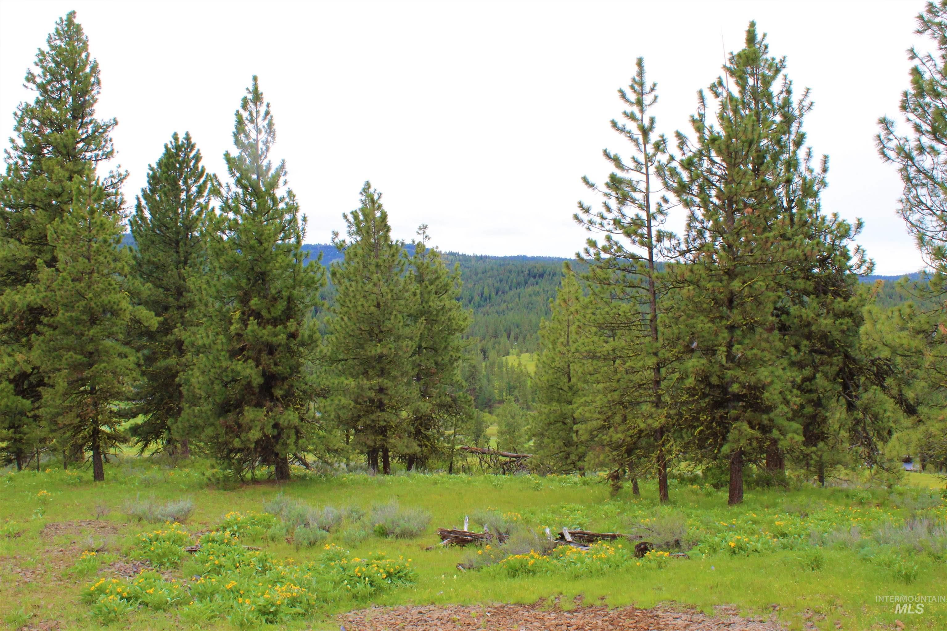 New Meadows, Idaho, 83654, United States, 1 Bedroom Bedrooms, ,1 BathroomBathrooms,Residential,For Sale,1979546