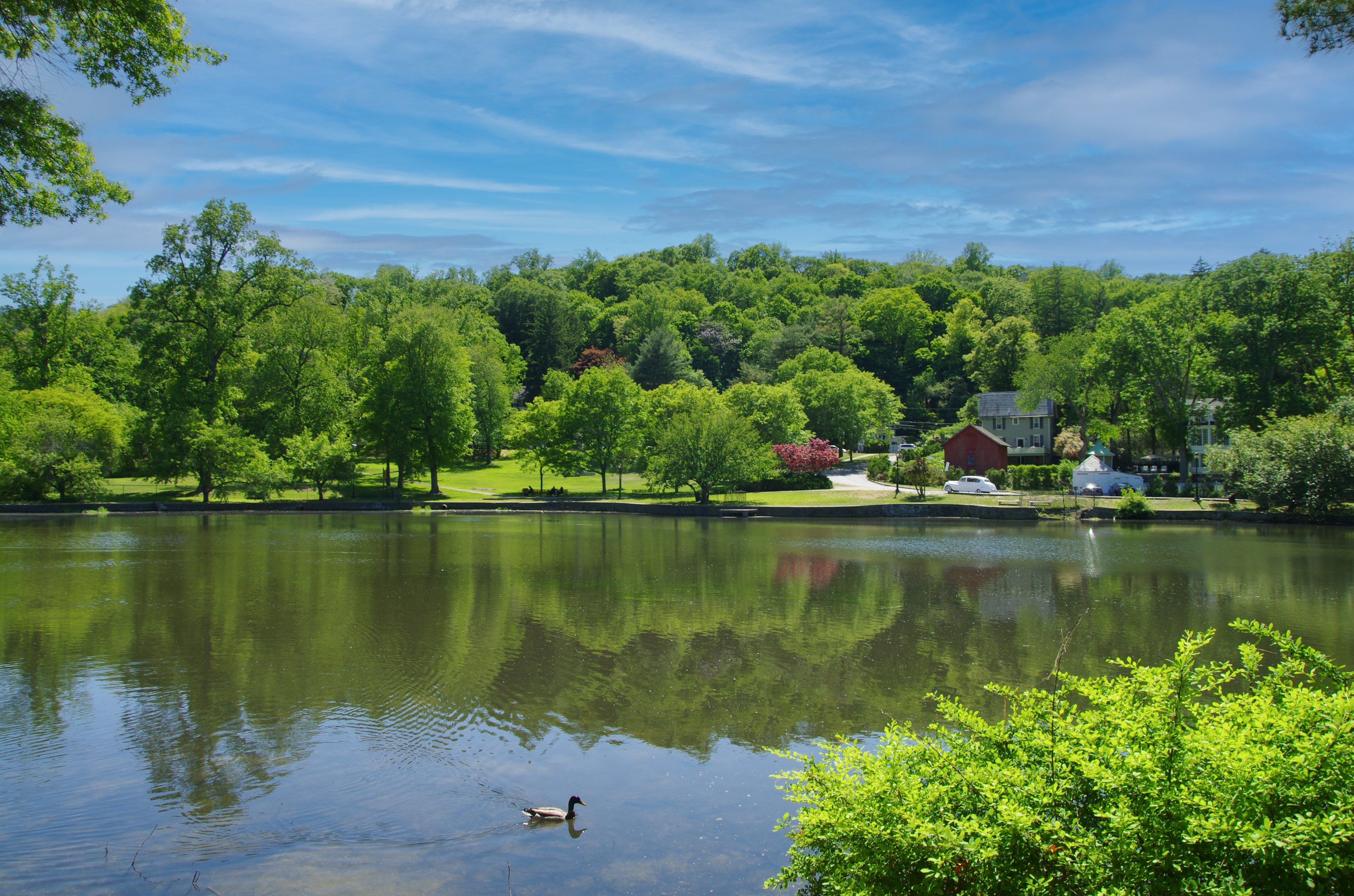  319 Main Street, Roslyn, NY, 11576 - 物件實景