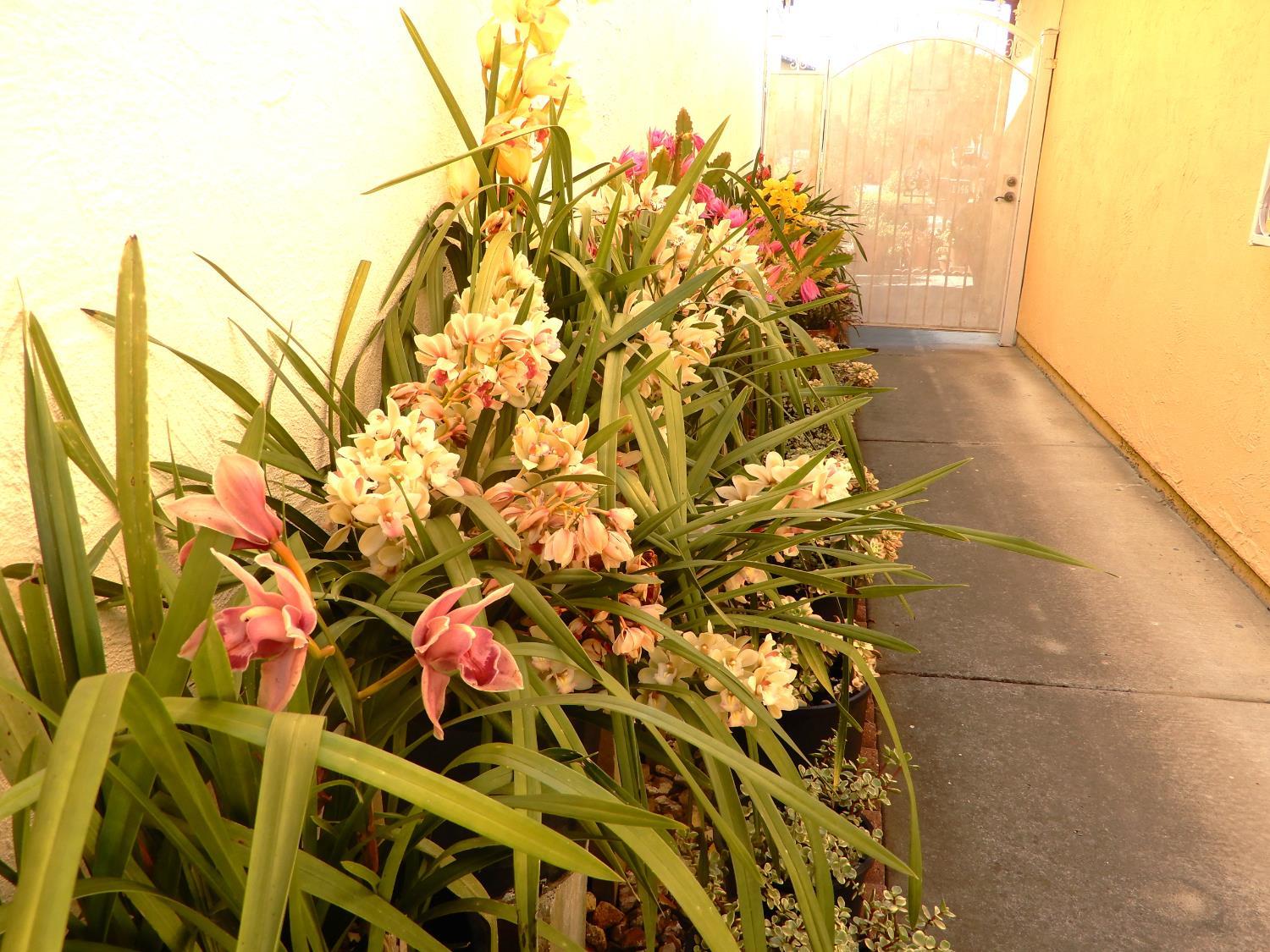 San Jose, California, 95116, United States, 4 Bedrooms Bedrooms, ,3 BathroomsBathrooms,Residential,For Sale,2038368