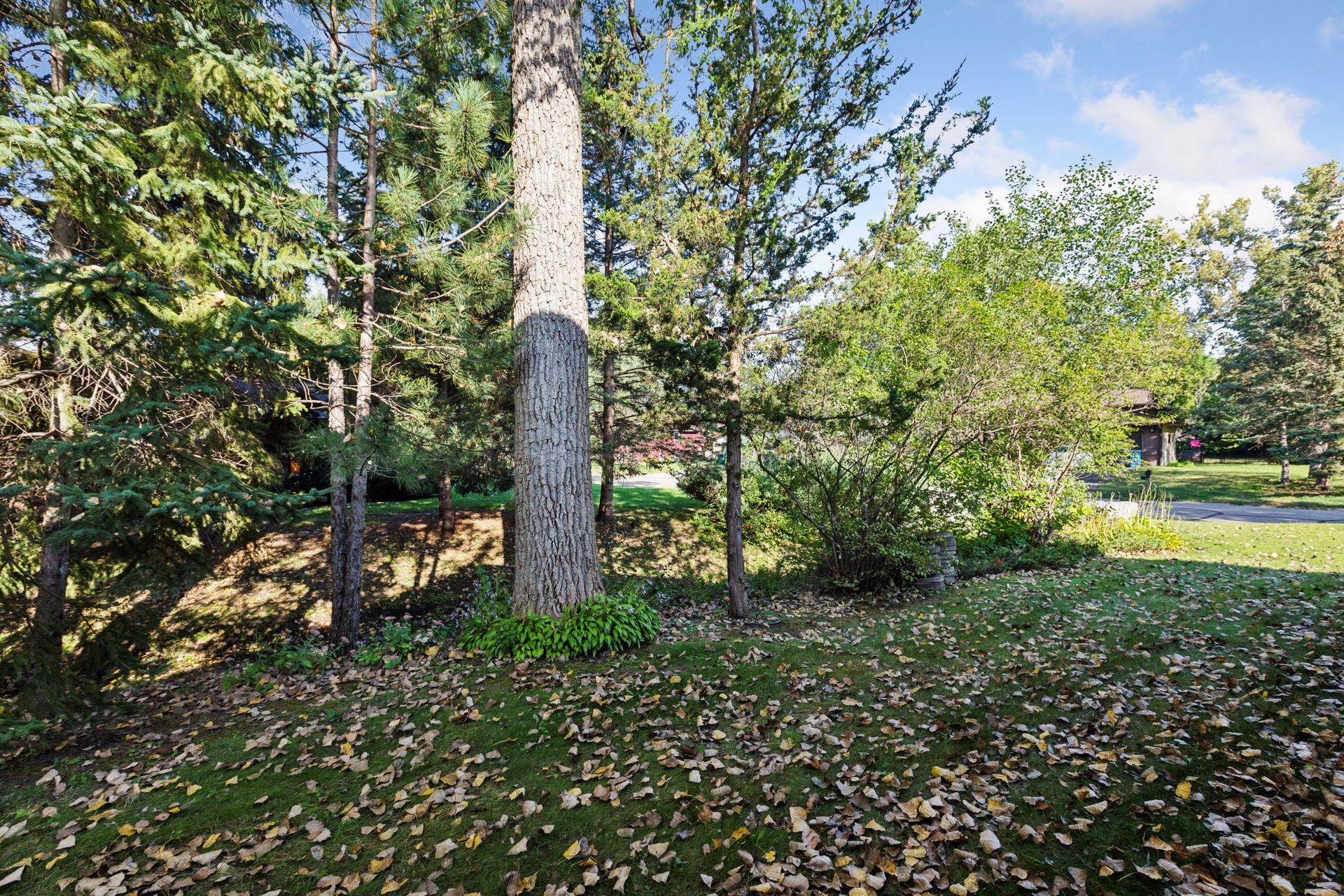 Plymouth, Minnesota, 55447, United States, 3 Bedrooms Bedrooms, ,1 BathroomBathrooms,Residential,For Sale,1959351