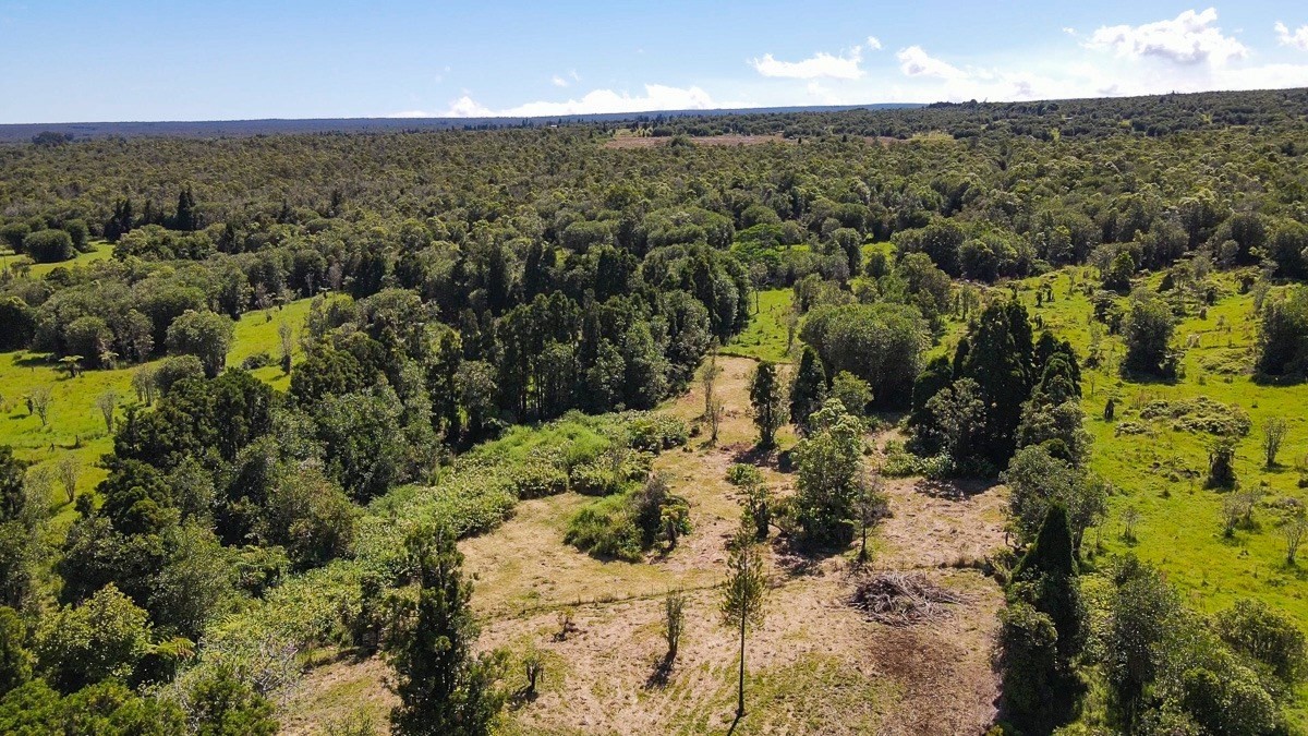 18-4169 N GLENWOOD RD, VOLCANO, Hawaii, 96785, United States, 3 Bedrooms Bedrooms, ,1 BathroomBathrooms,Residential,For Sale,18-4169 N GLENWOOD RD,1624083
