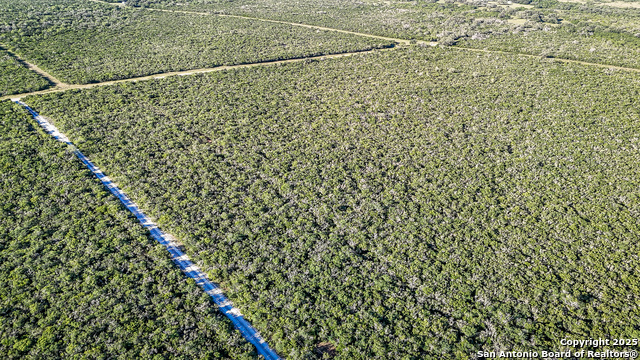Beeville, Texas, 78102, United States, ,Land,For Sale,1942121